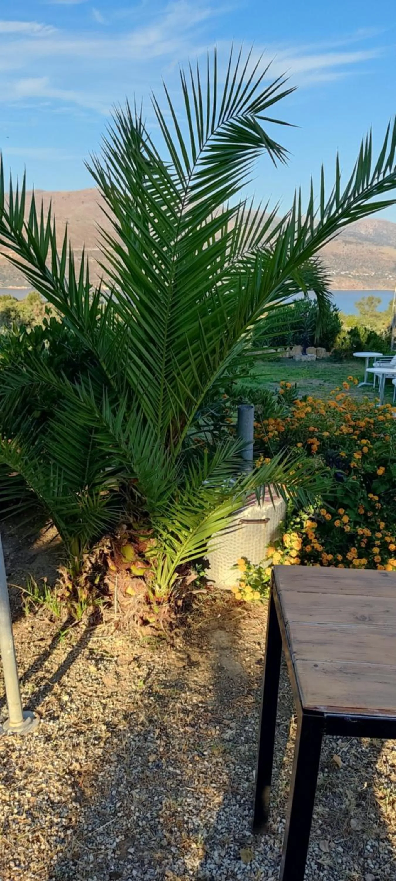 Property building in Forestata Village