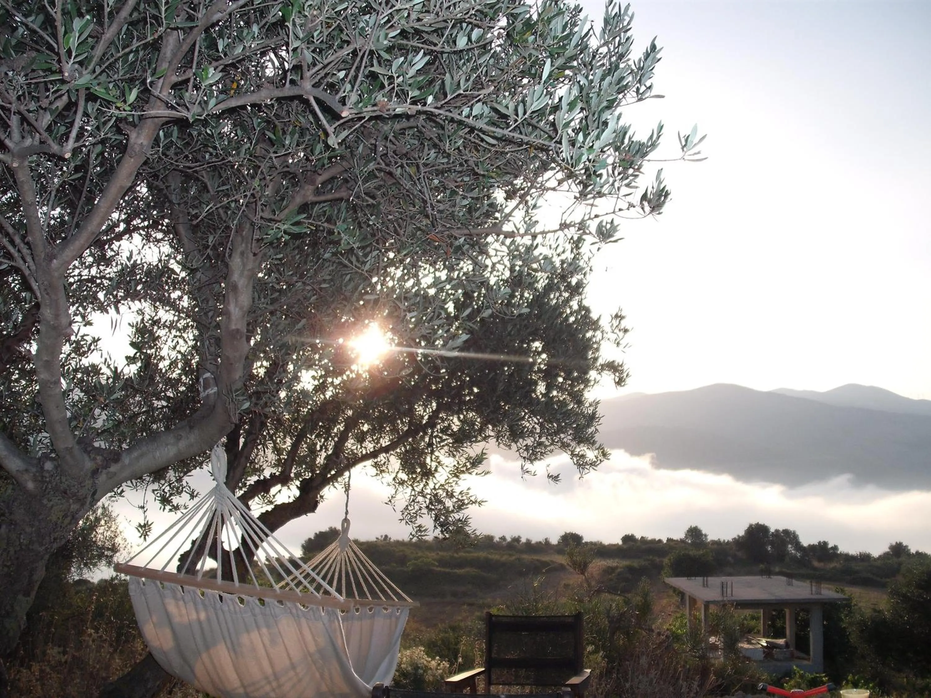 Garden view in Forestata Village