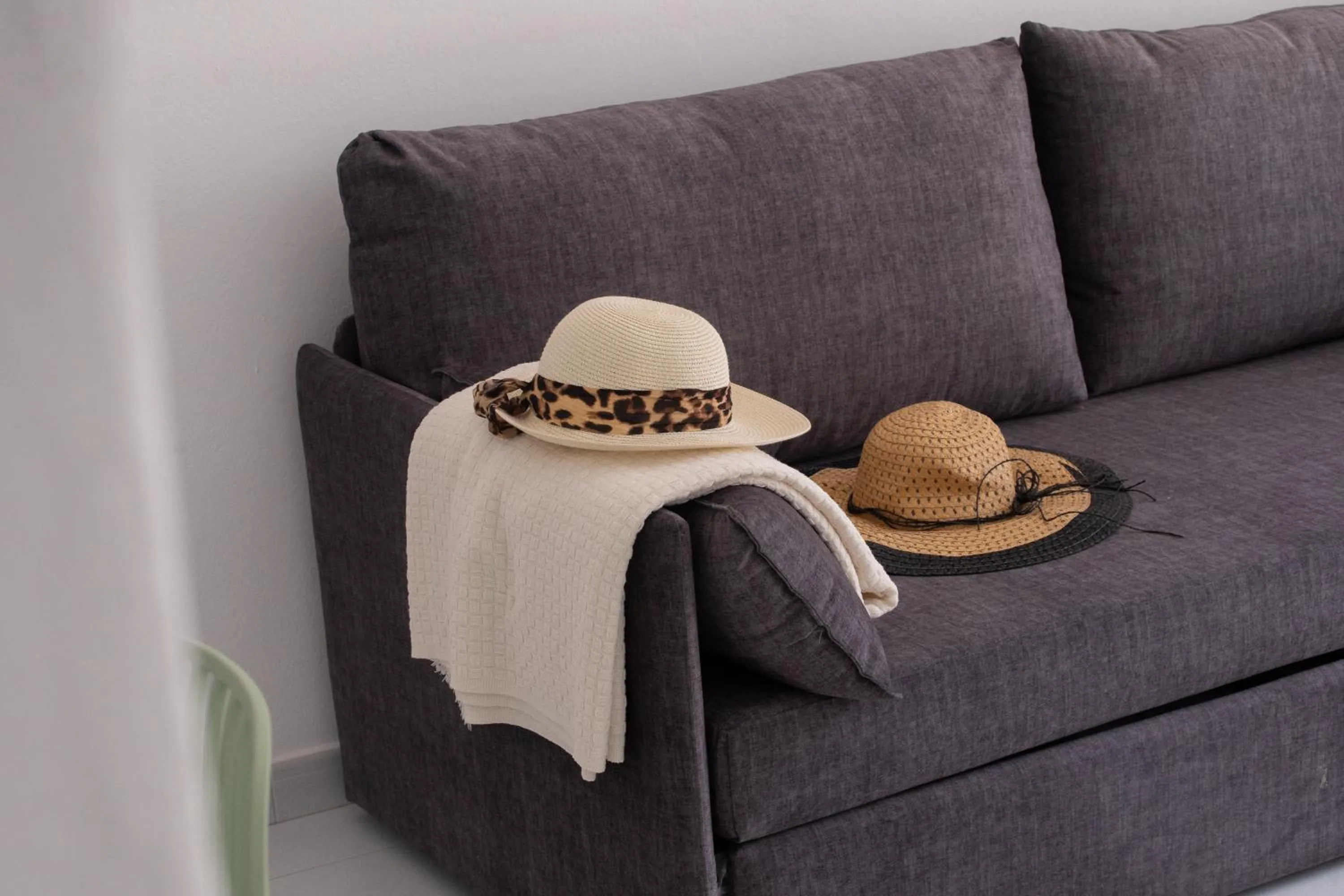 Living room in La Laguneta