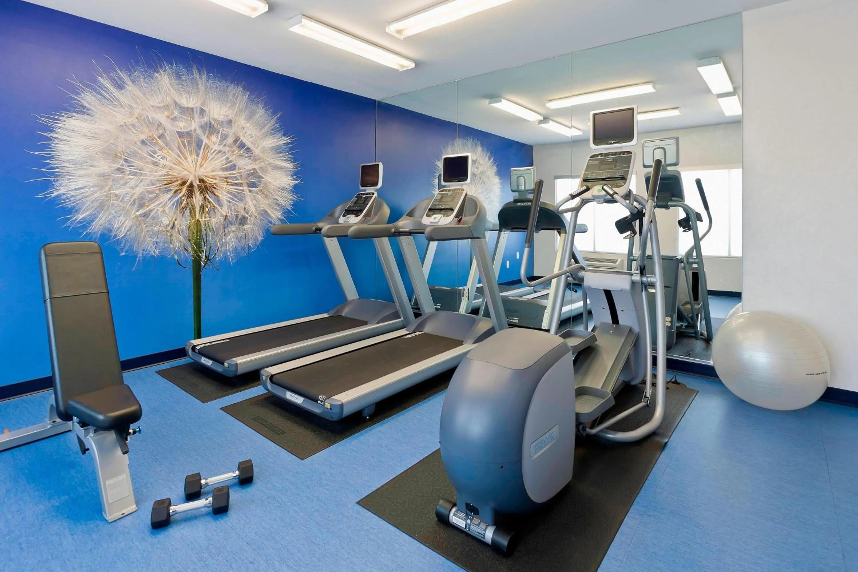 Fitness centre/facilities in SpringHill Suites Phoenix North
