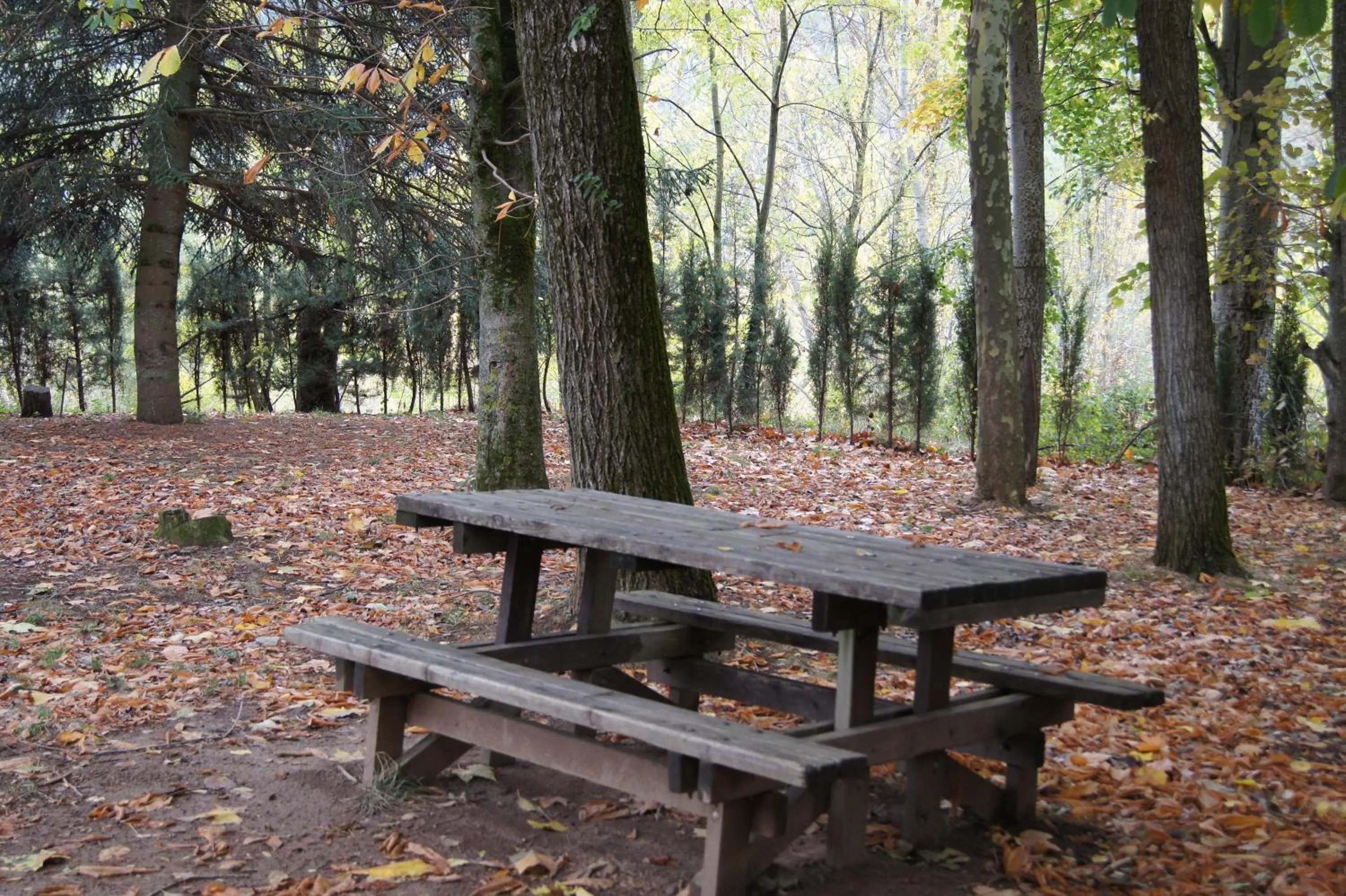 Other in Hotel Charle