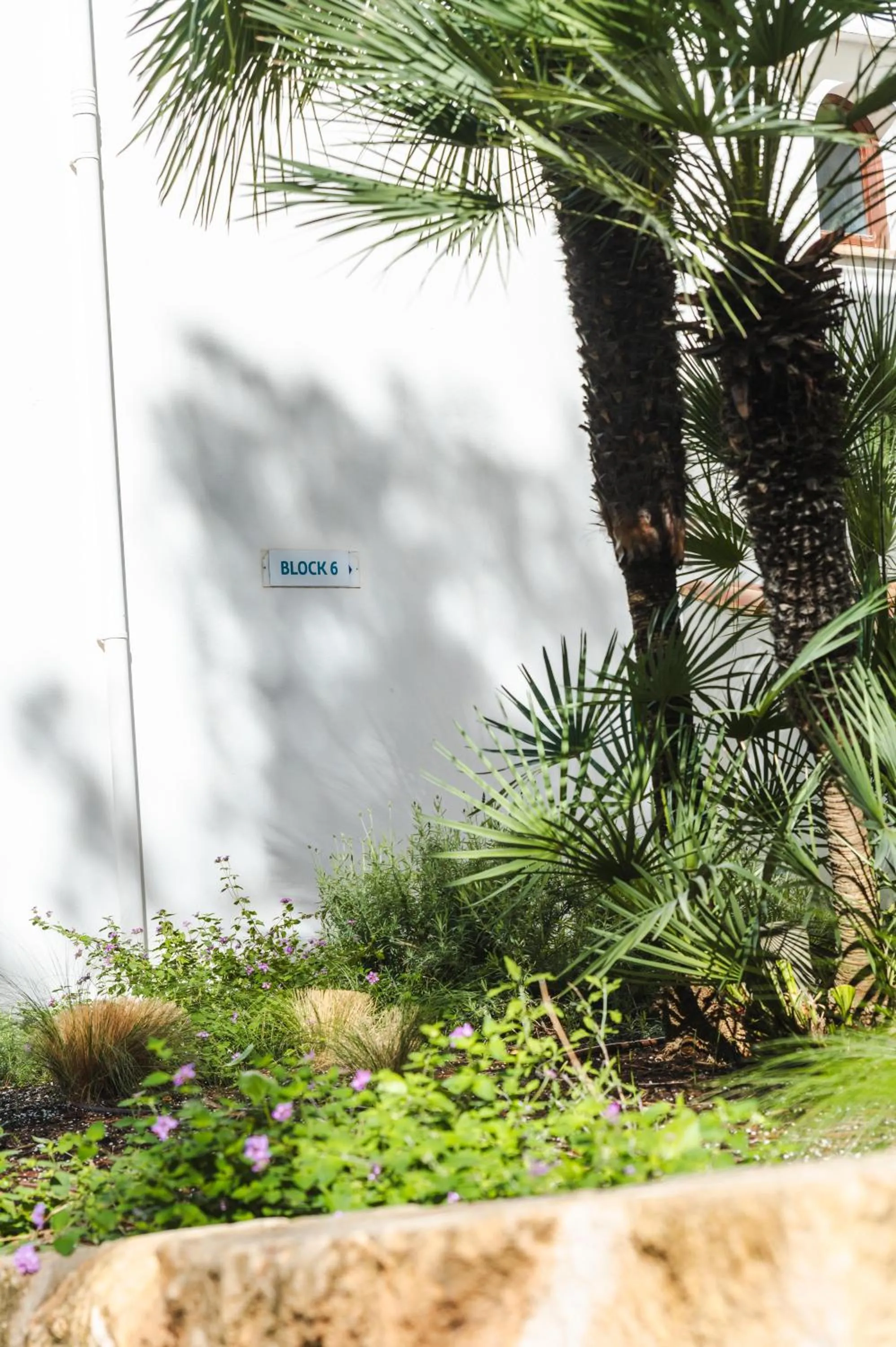 Property building in Flipflop Surfing Playa