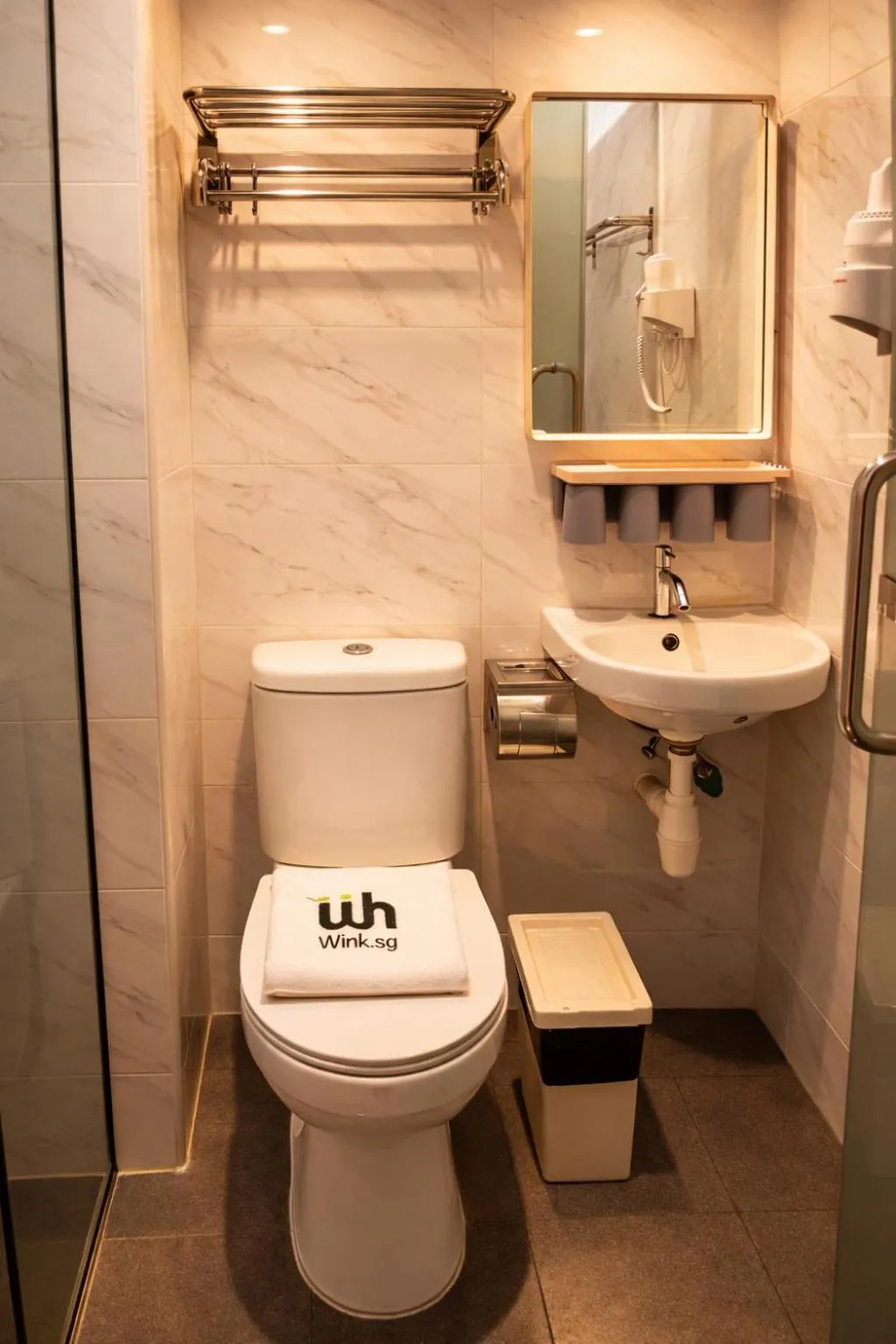 Toilet in Wink at Upper Cross Street