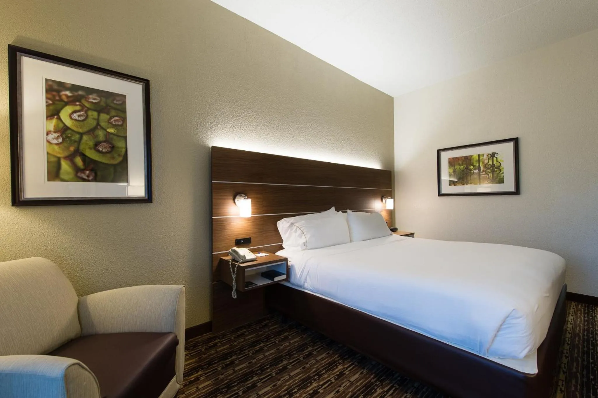 Photo of the whole room, Bed in Holiday Inn Express & Suites Walterboro by IHG