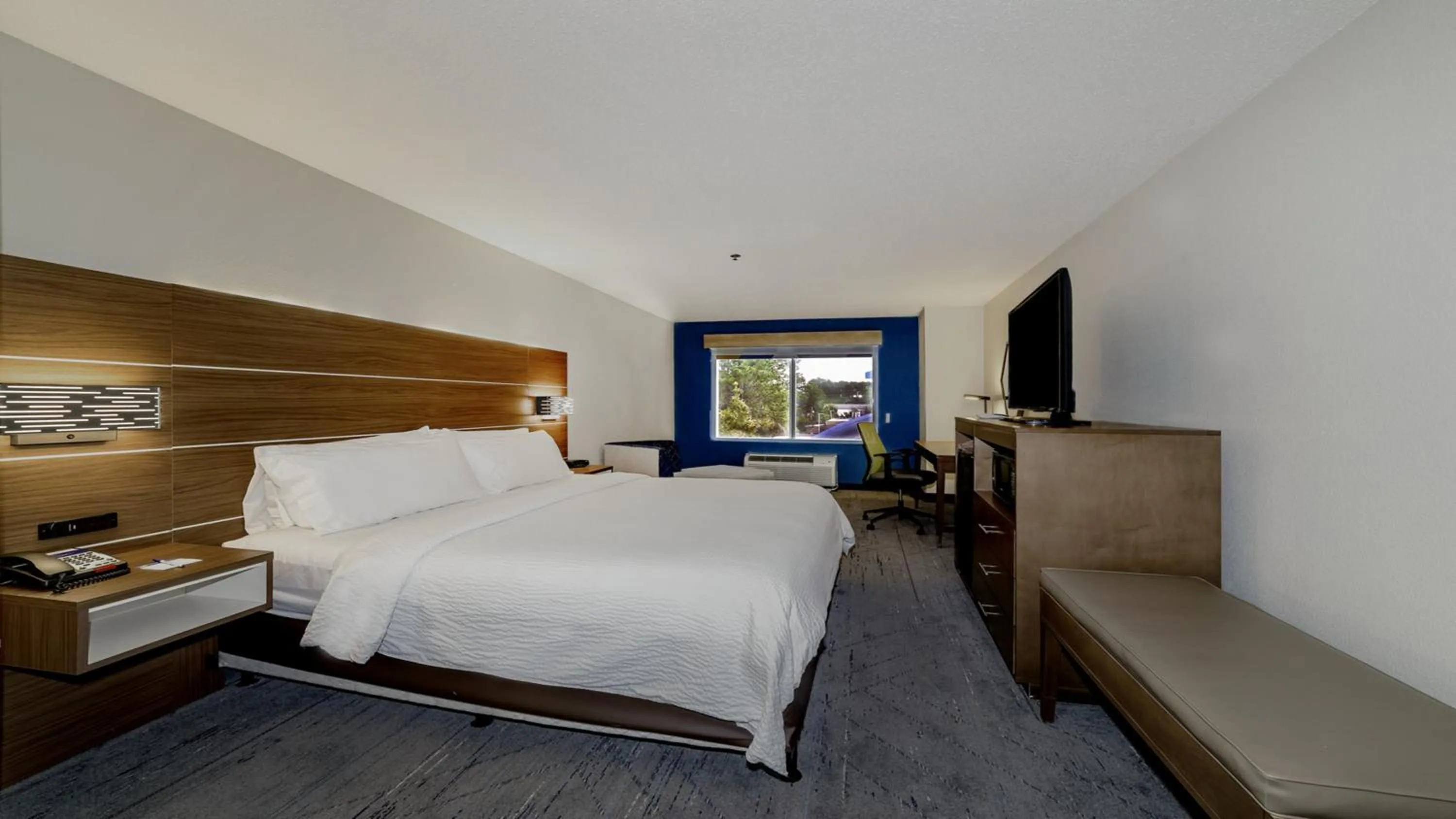 Photo of the whole room, Bed in Holiday Inn Express & Suites Walterboro by IHG
