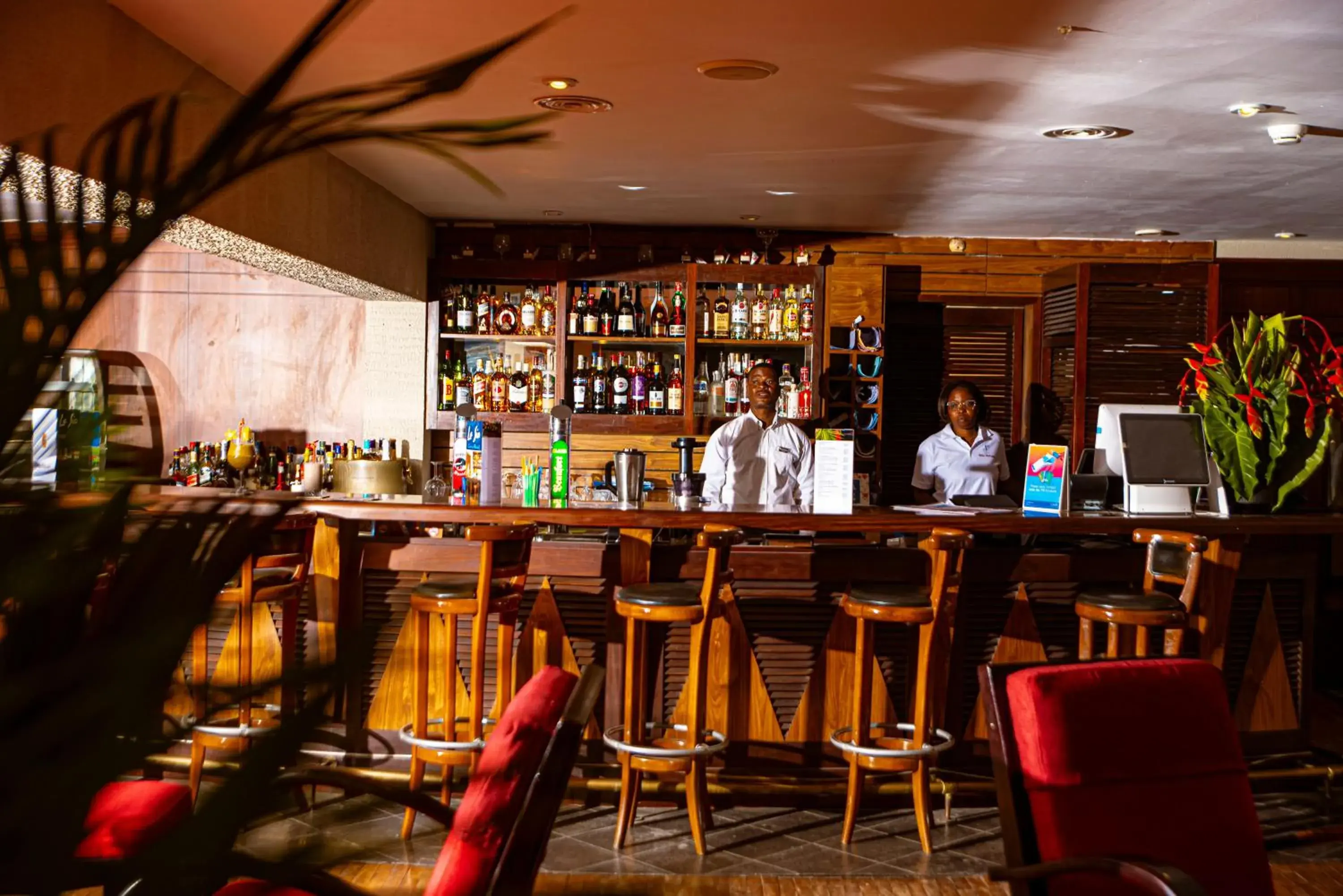 Lounge or bar in Hôtel Sarakawa Lounge or bar in Hôtel Sarakawa