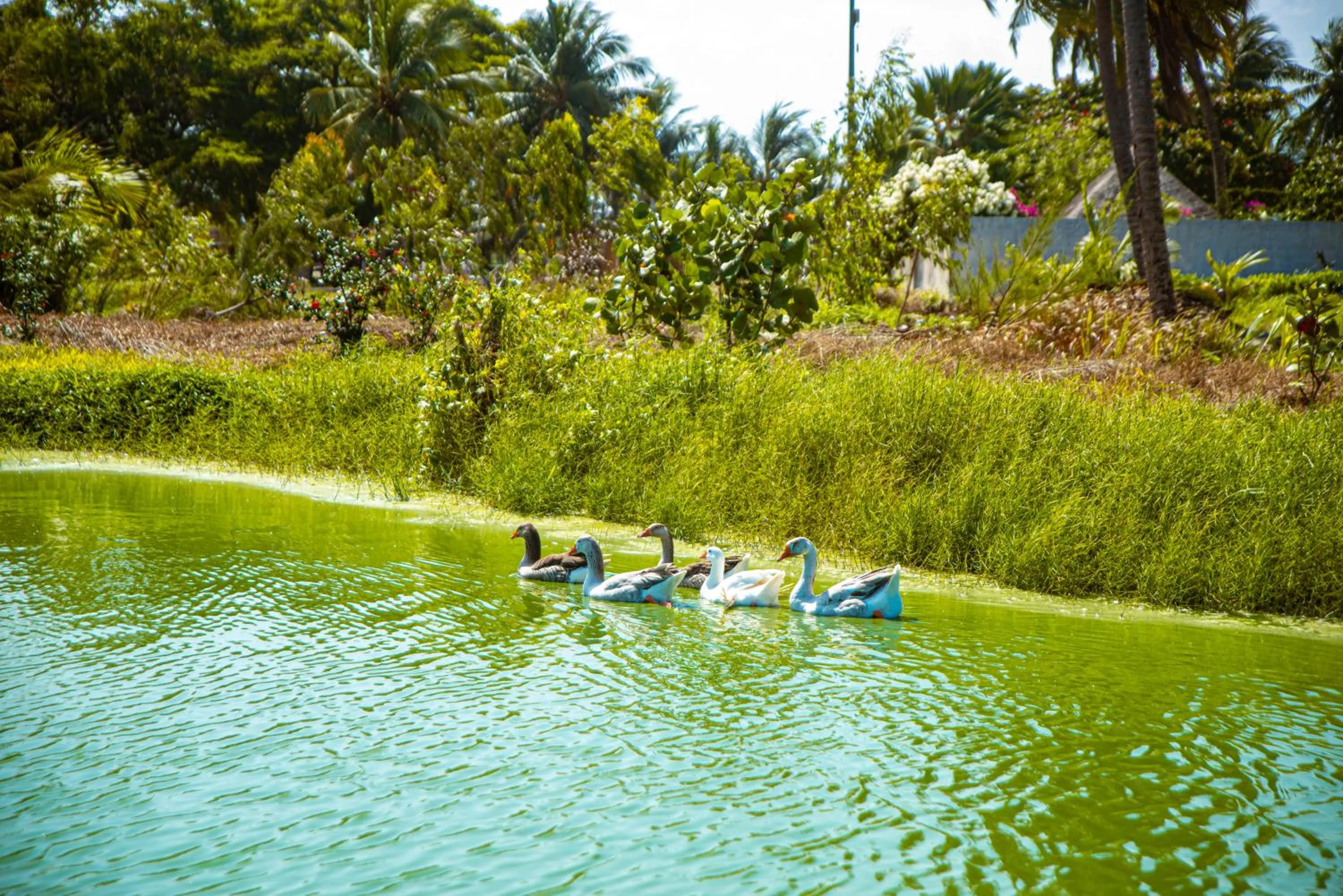 Day in Hôtel Sarakawa