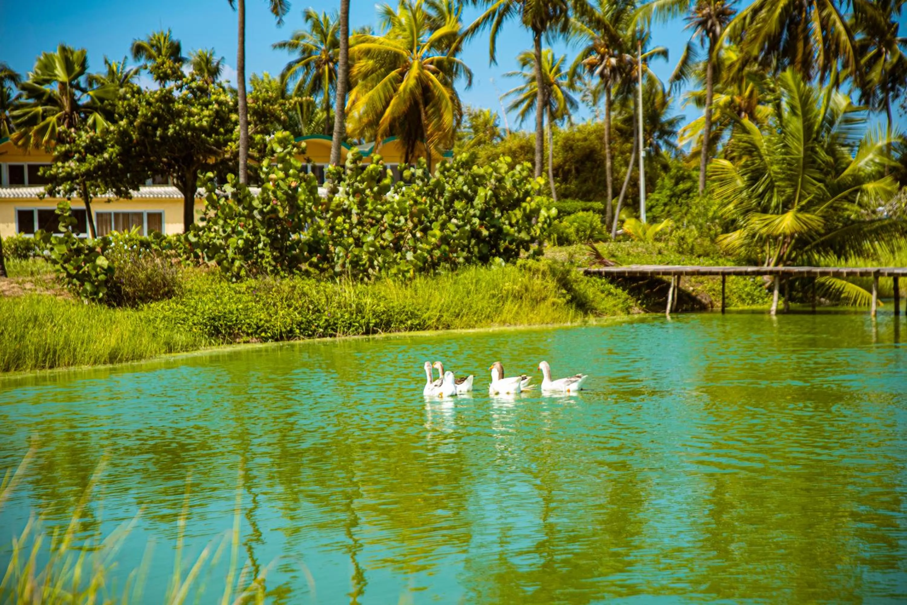 Day in Hôtel Sarakawa