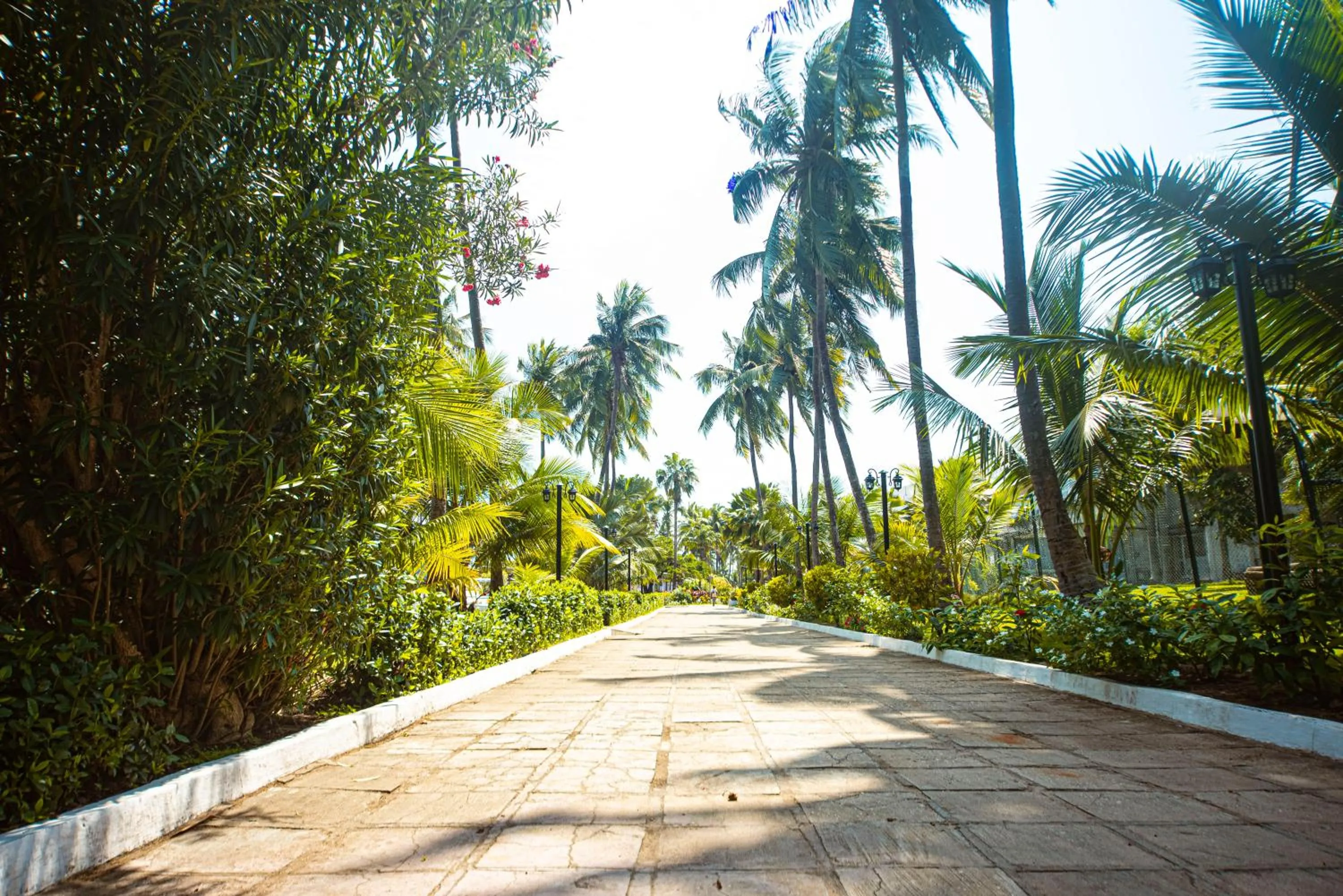 Day in Hôtel Sarakawa