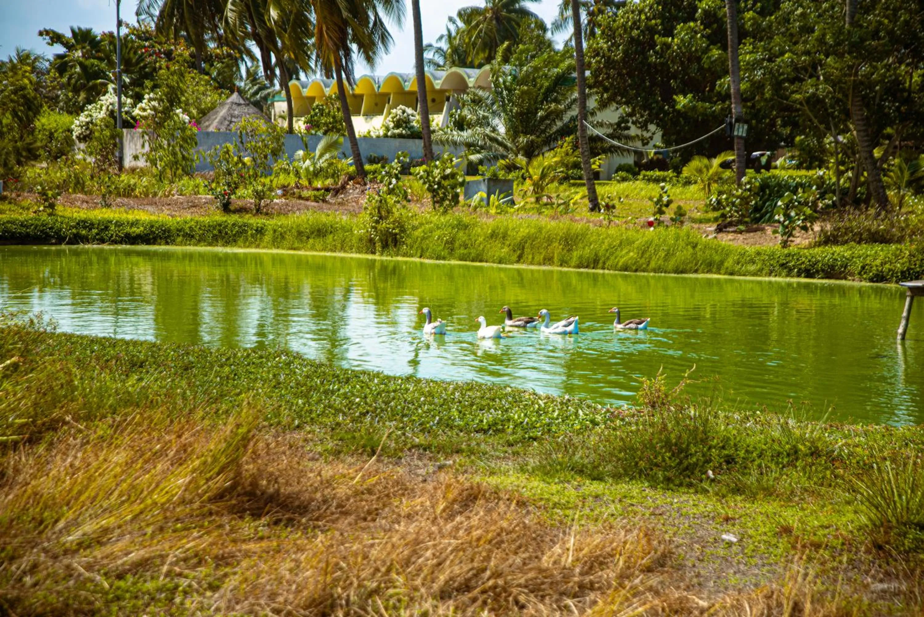 Day in Hôtel Sarakawa