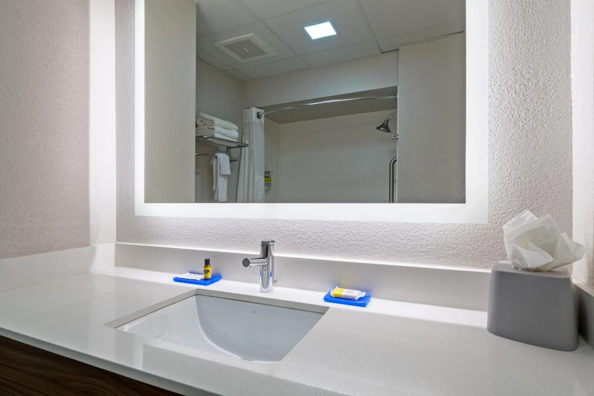 Bathroom in Holiday Inn Express Hotel & Suites Woodbridge by IHG