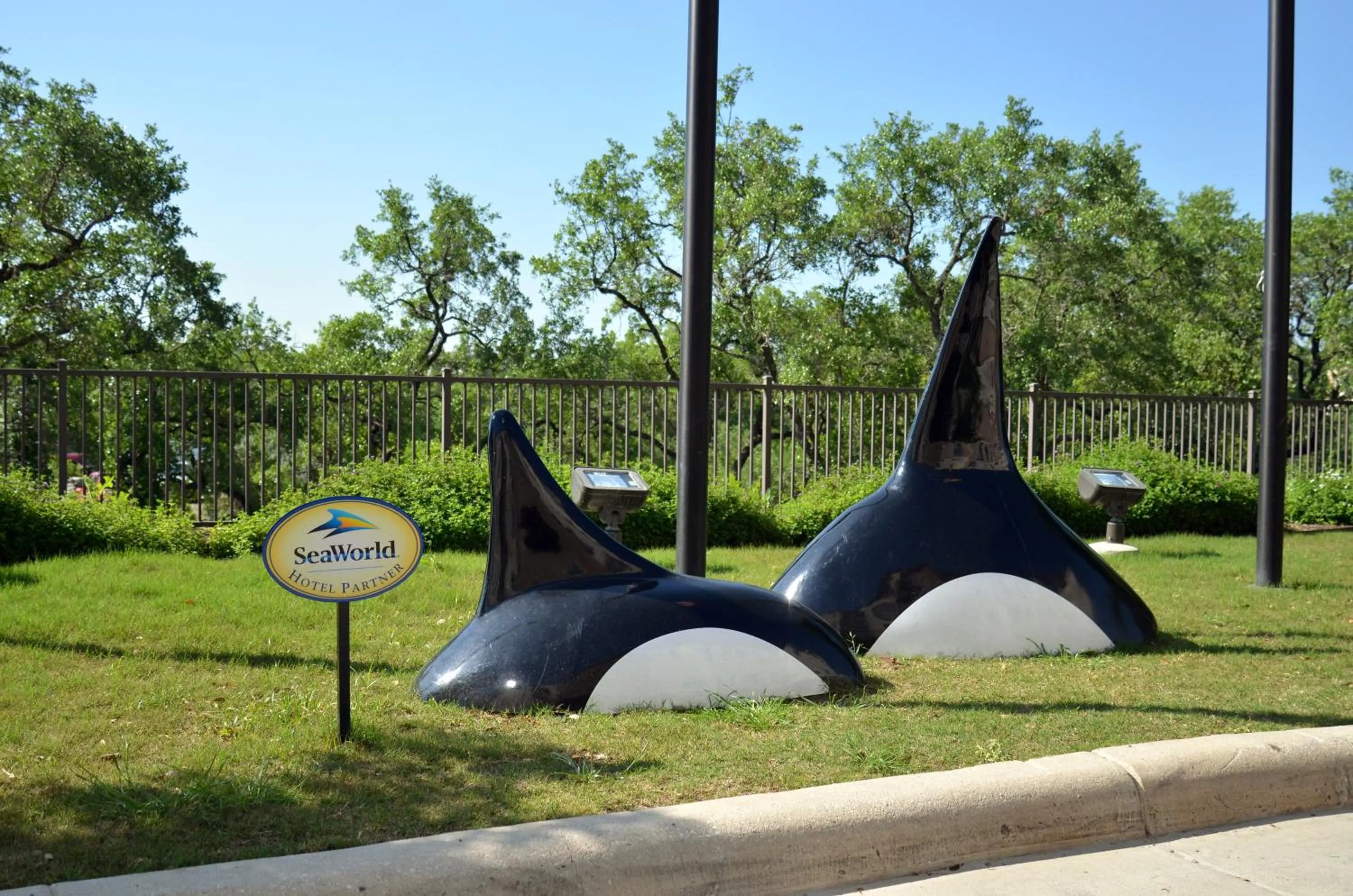 Area and facilities in Staybridge Suites San Antonio Sea World by IHG