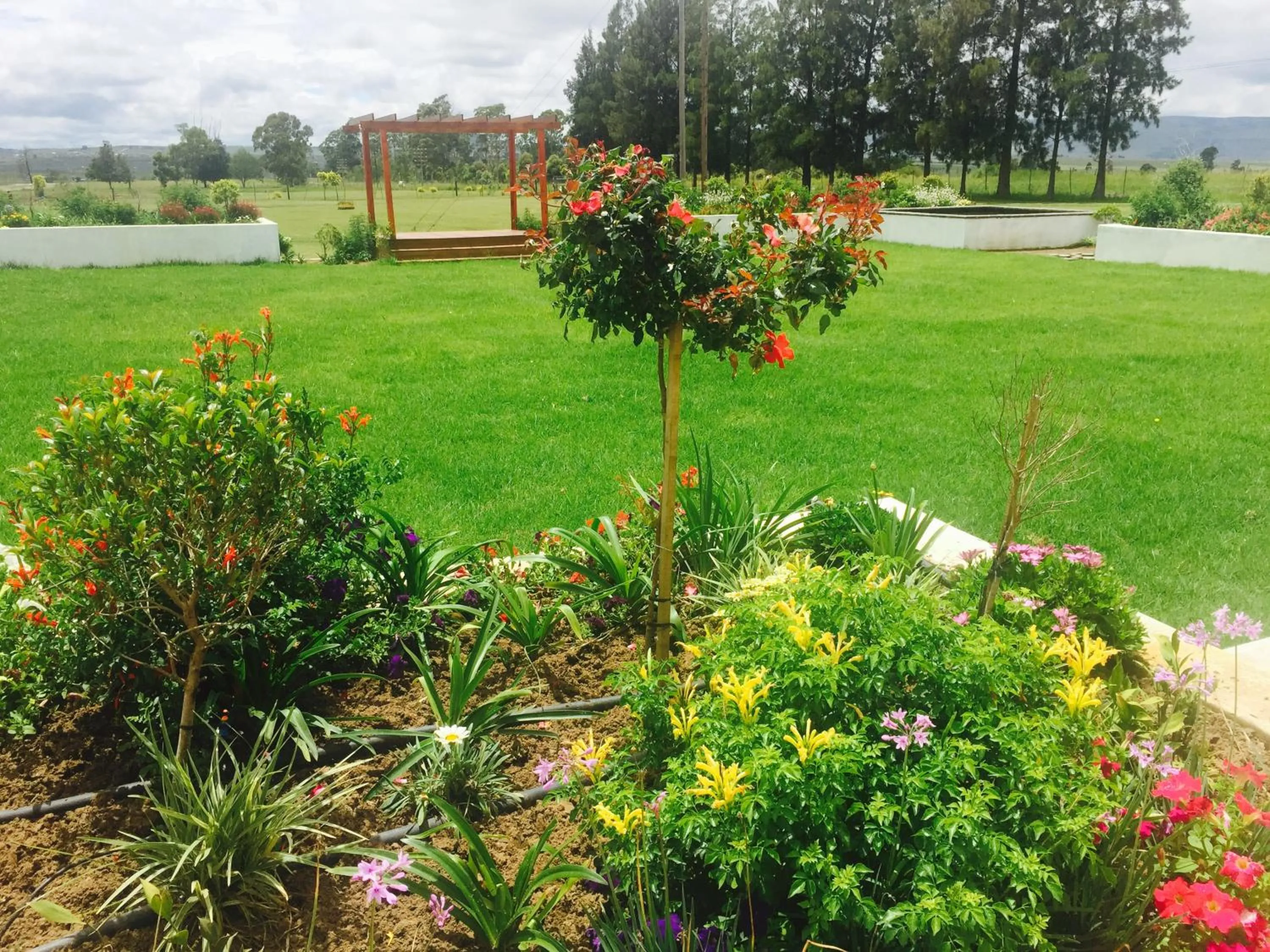 Black Horses Lodge & Conferencing