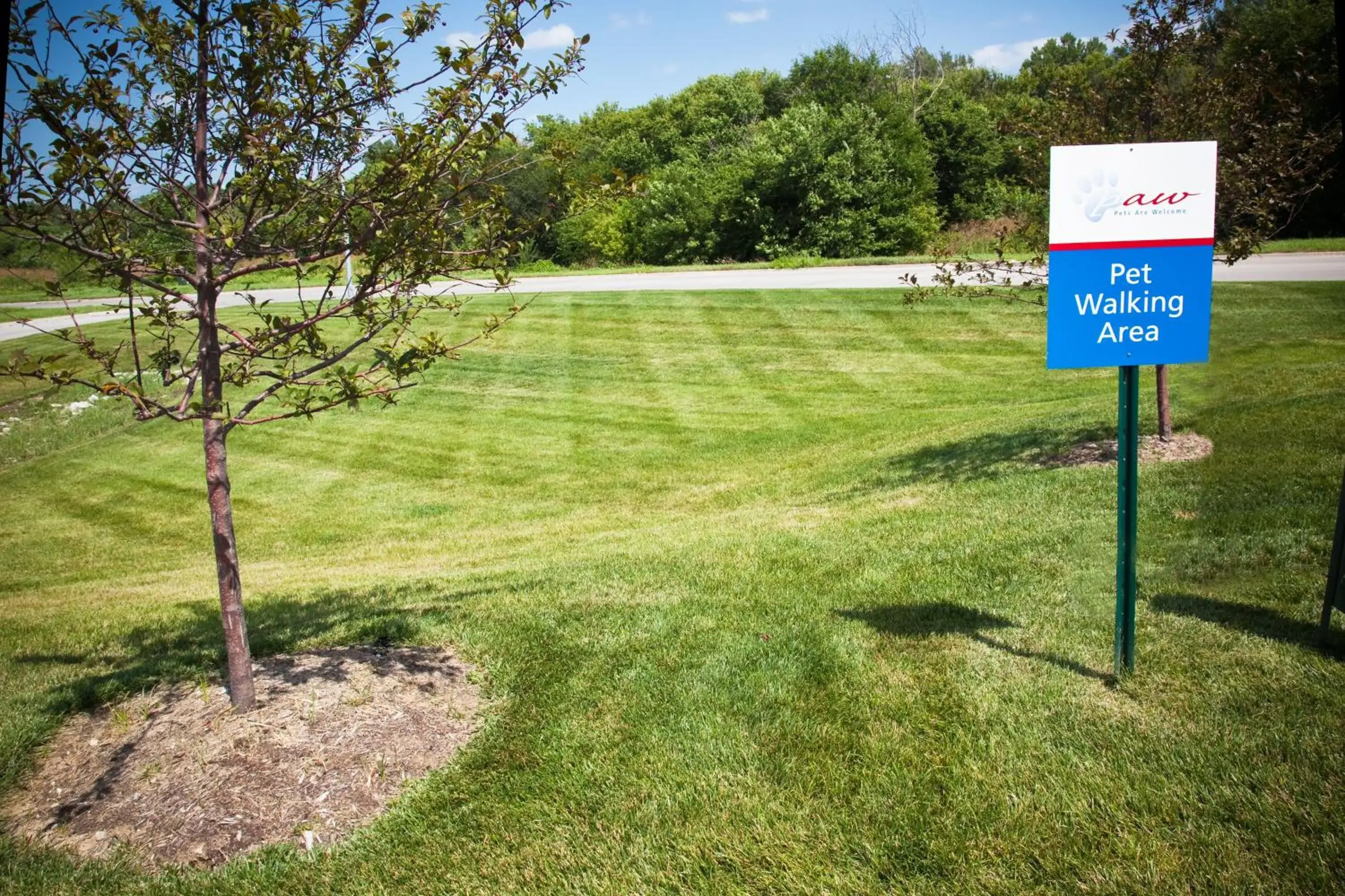 Lobby or reception in Candlewood Suites Bellevue by IHG Lobby or reception in Candlewood Suites Bellevue by IHG