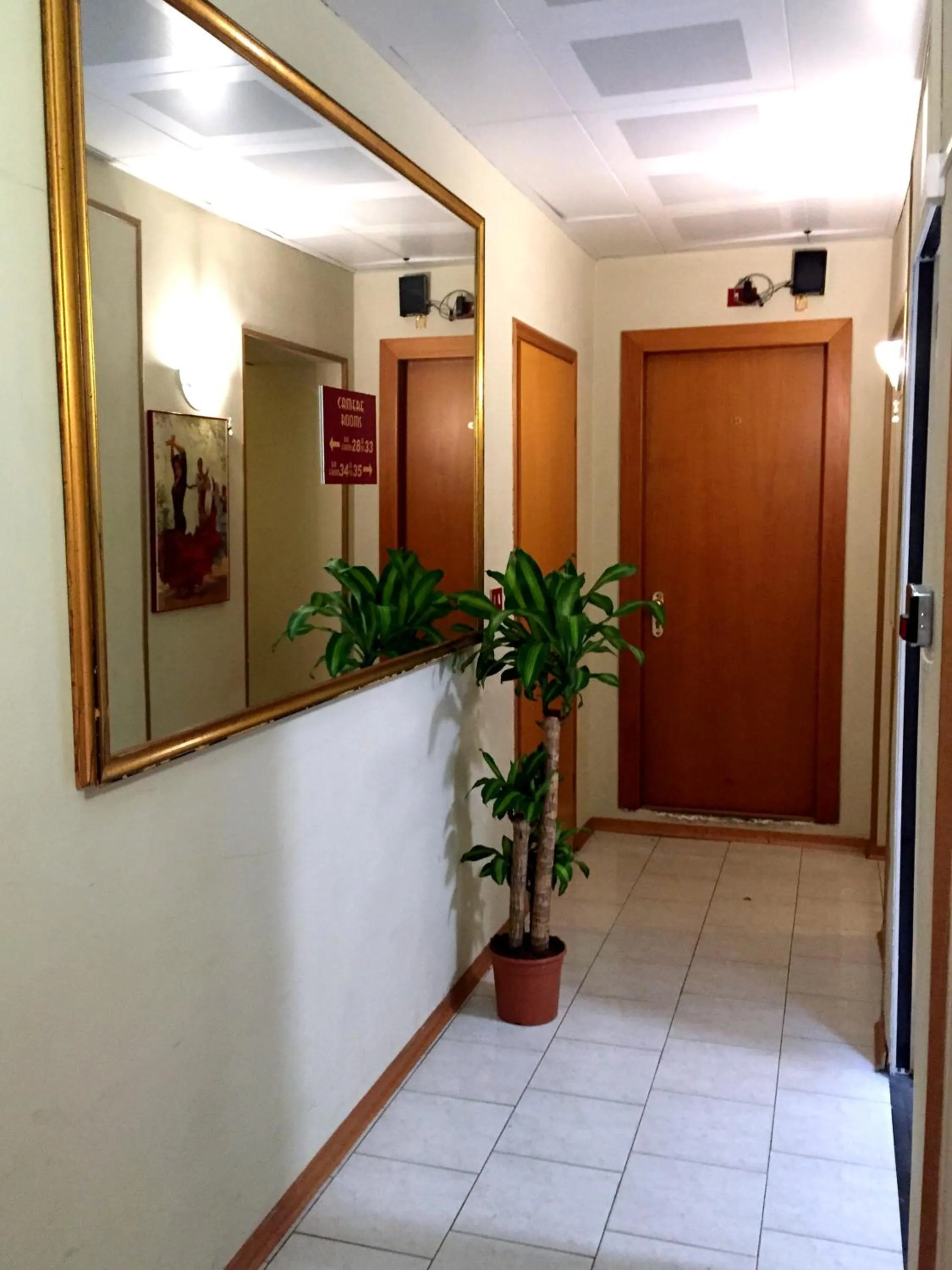 Area and facilities in Hotel Altavilla Dieci