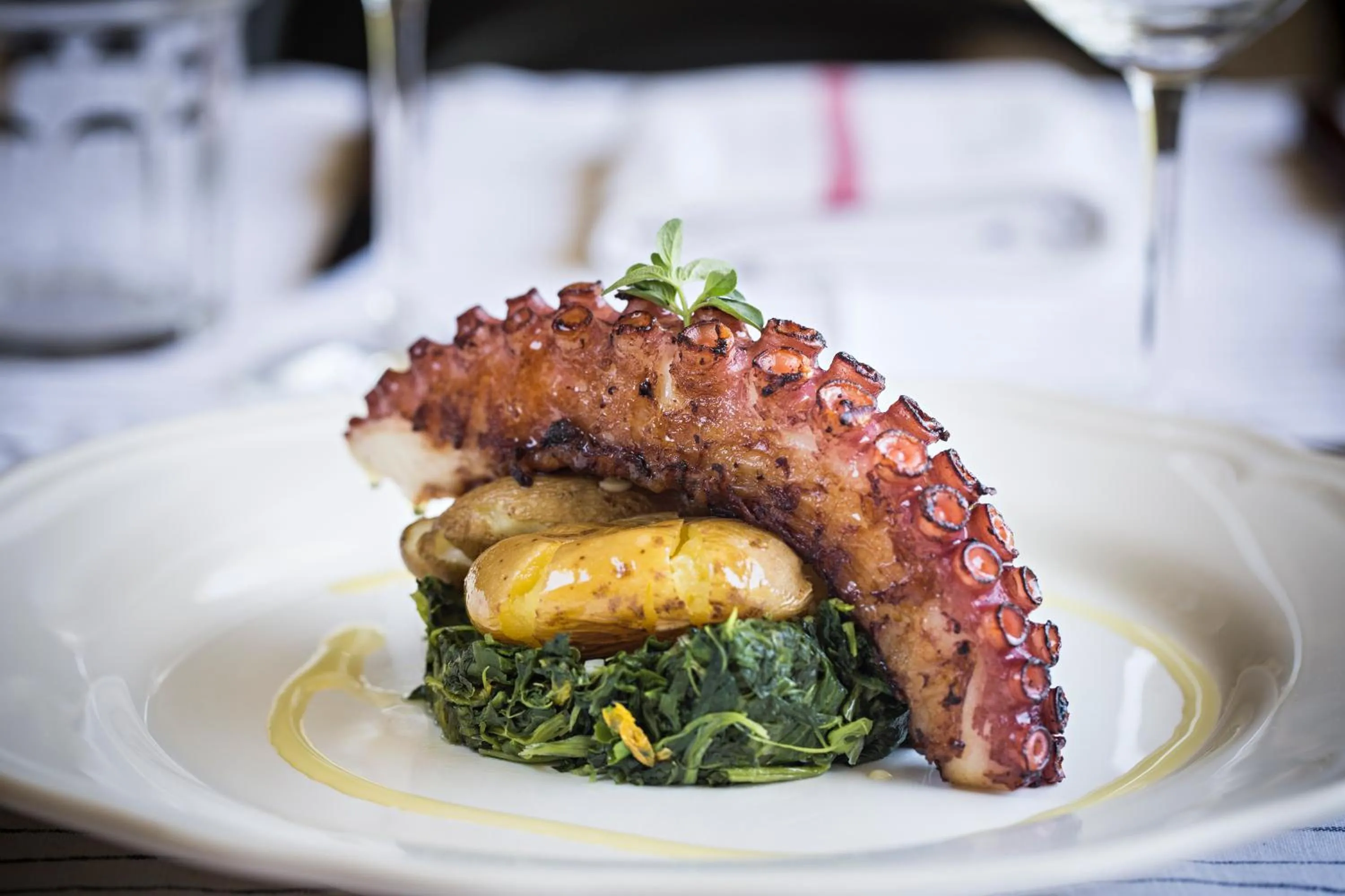 Dinner in Quinta de S.Bernardo - Winery & Farmhouse