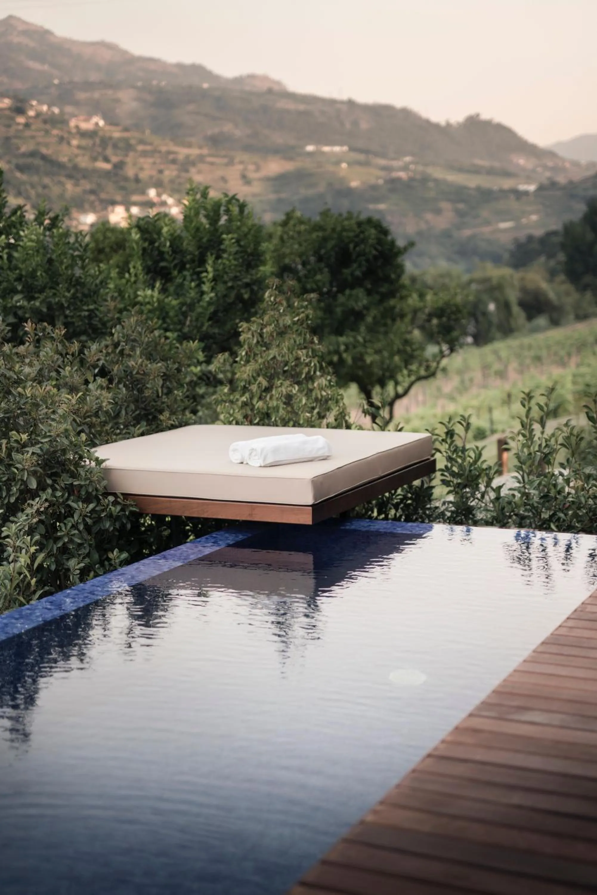 Natural landscape in Quinta de S.Bernardo - Winery & Farmhouse