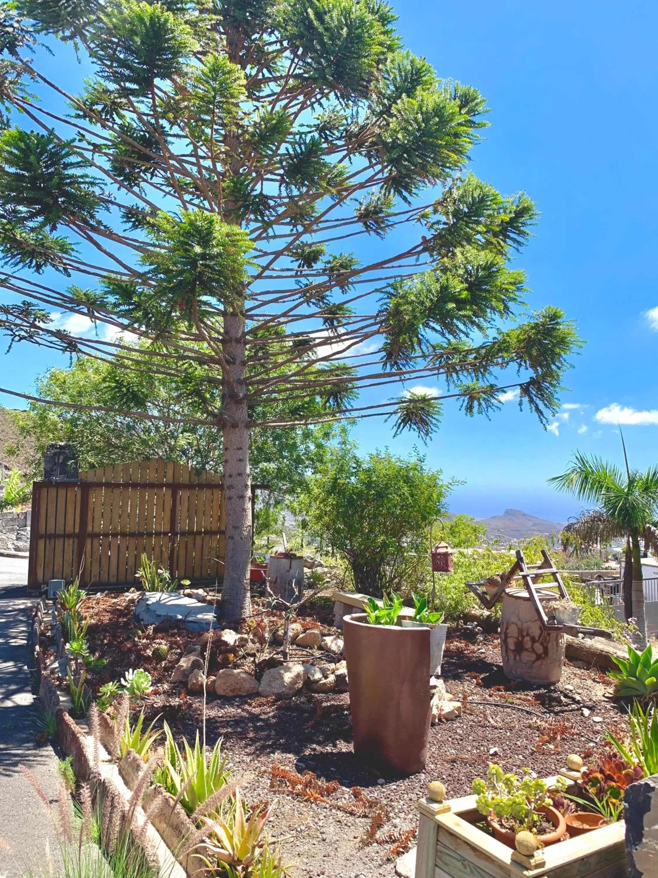 Finca Chimaca