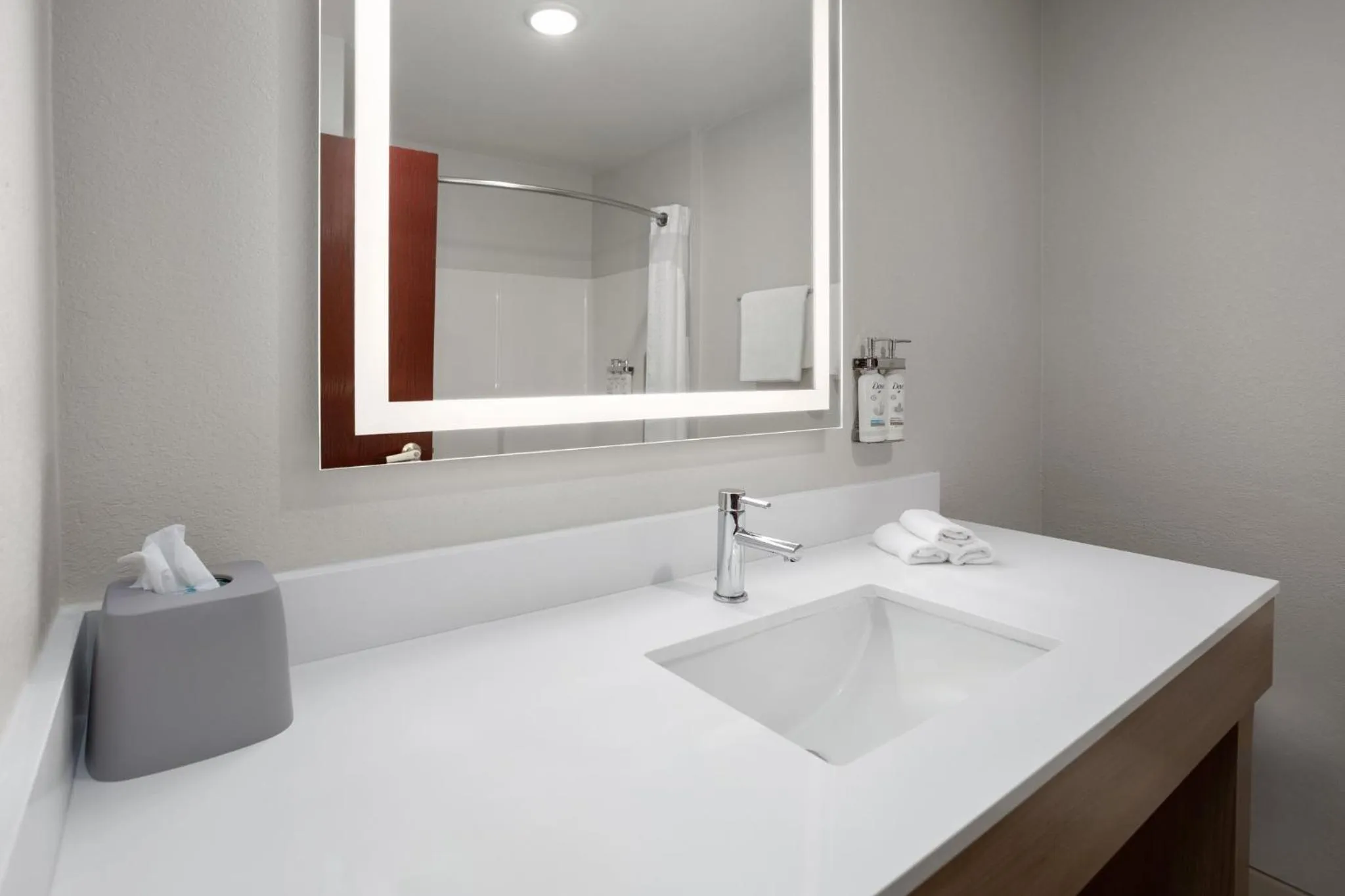 Bathroom in Holiday Inn Express Hotel & Suites Acme-Traverse City by IHG