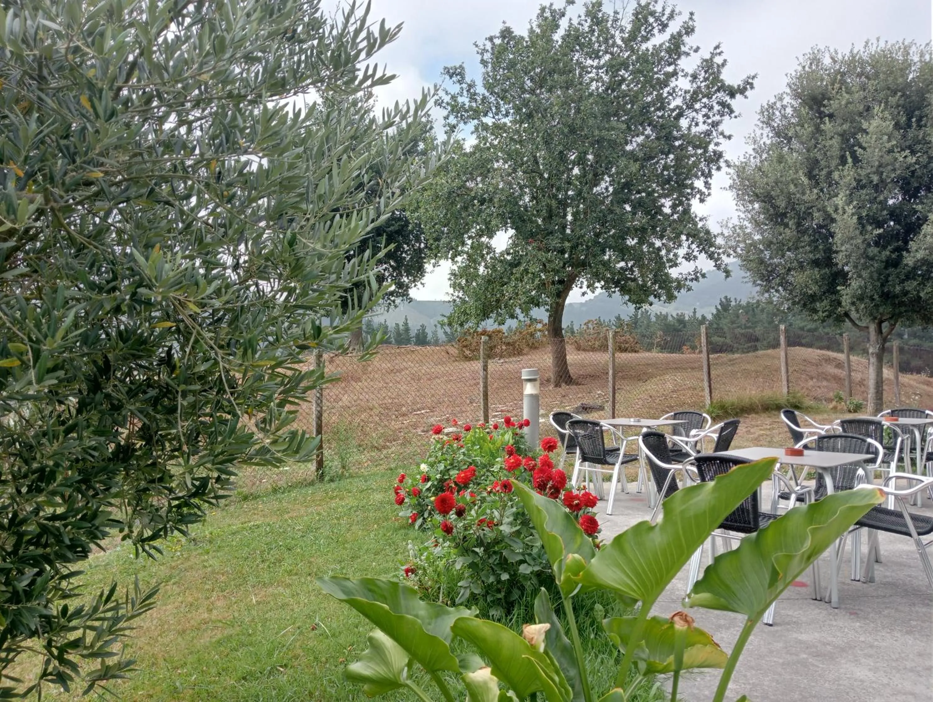 Garden in Hotel Santa Ana