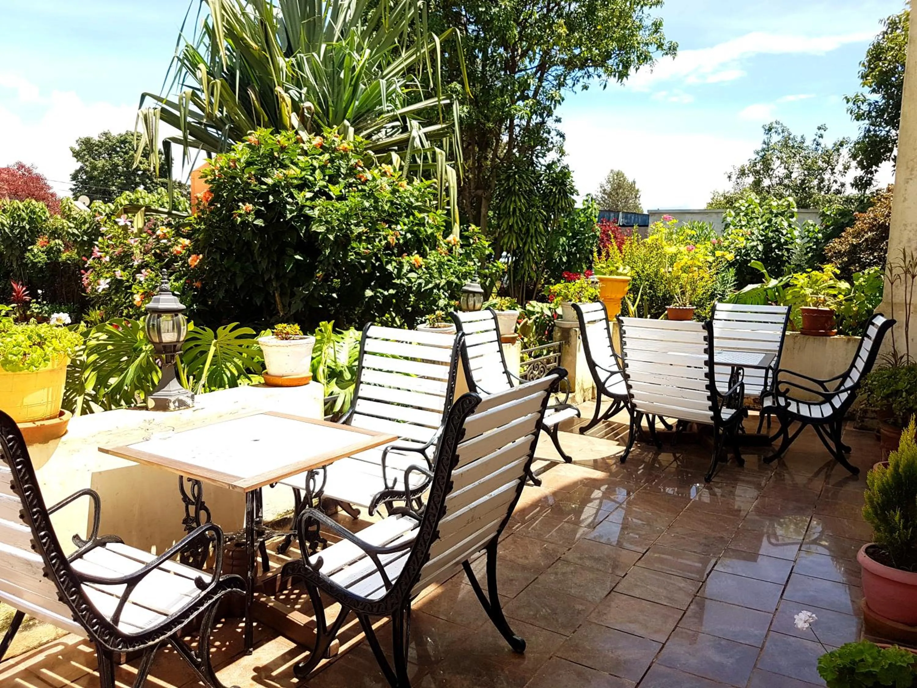 Balcony/Terrace in Hotel le Trianon