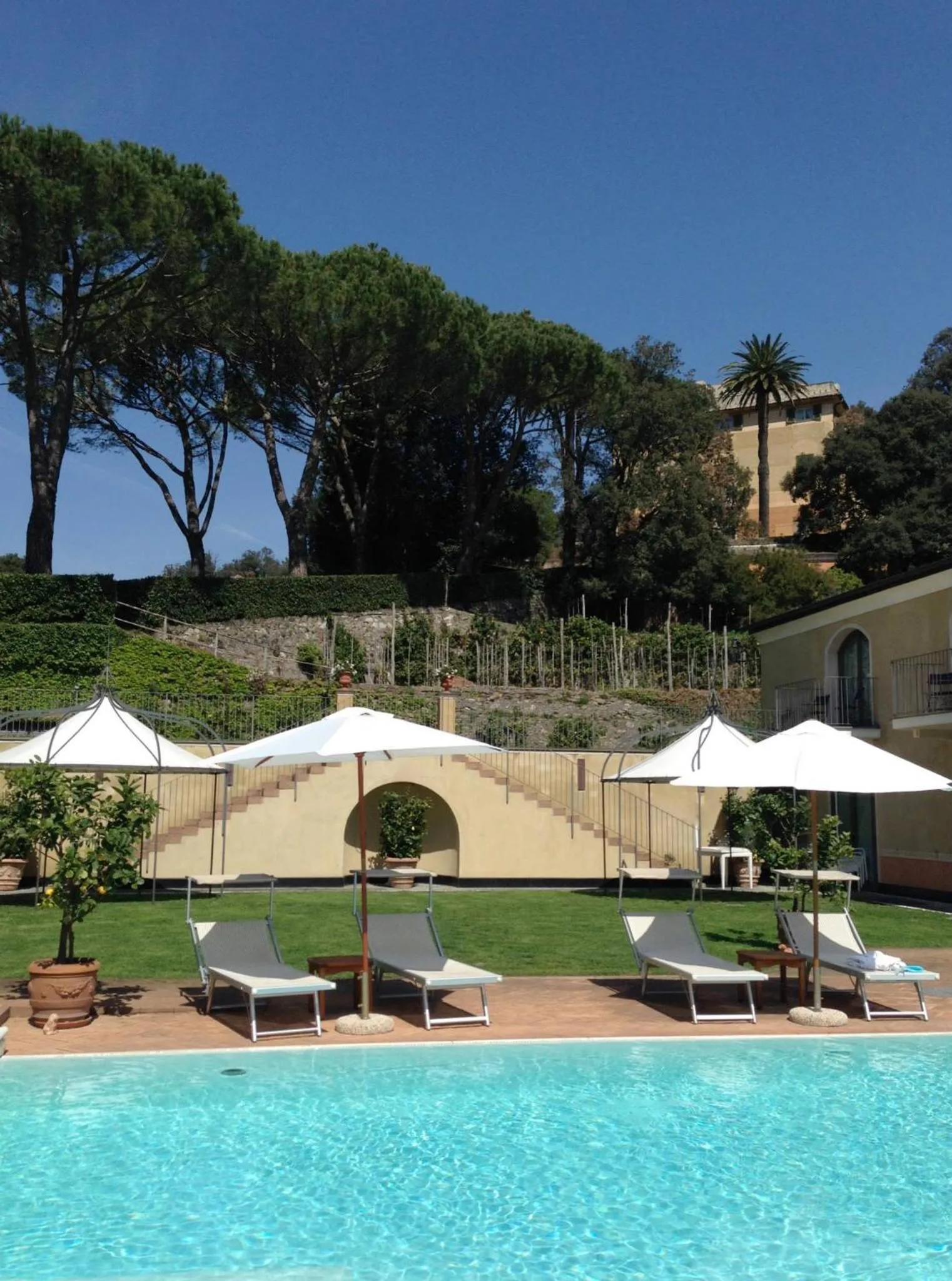 Swimming pool in Villa Agnese