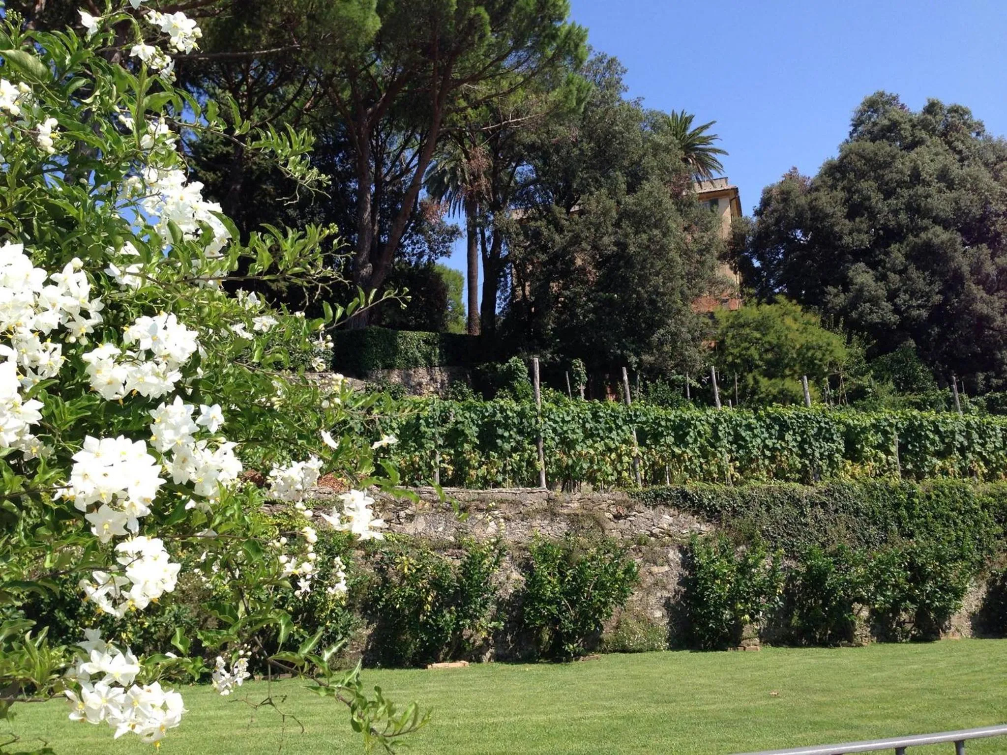 Garden view in Villa Agnese
