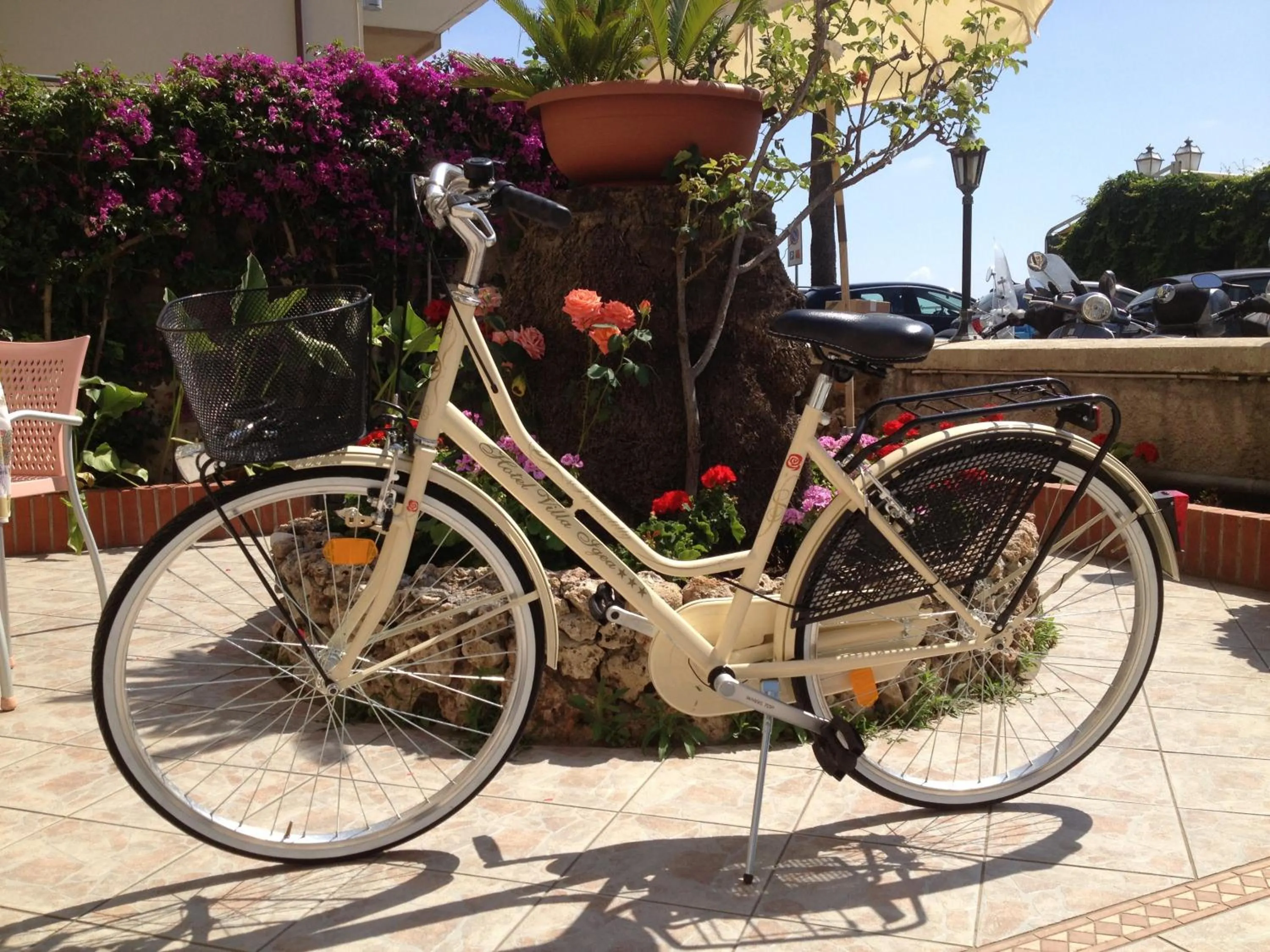Garden in Hotel Villa Igea
