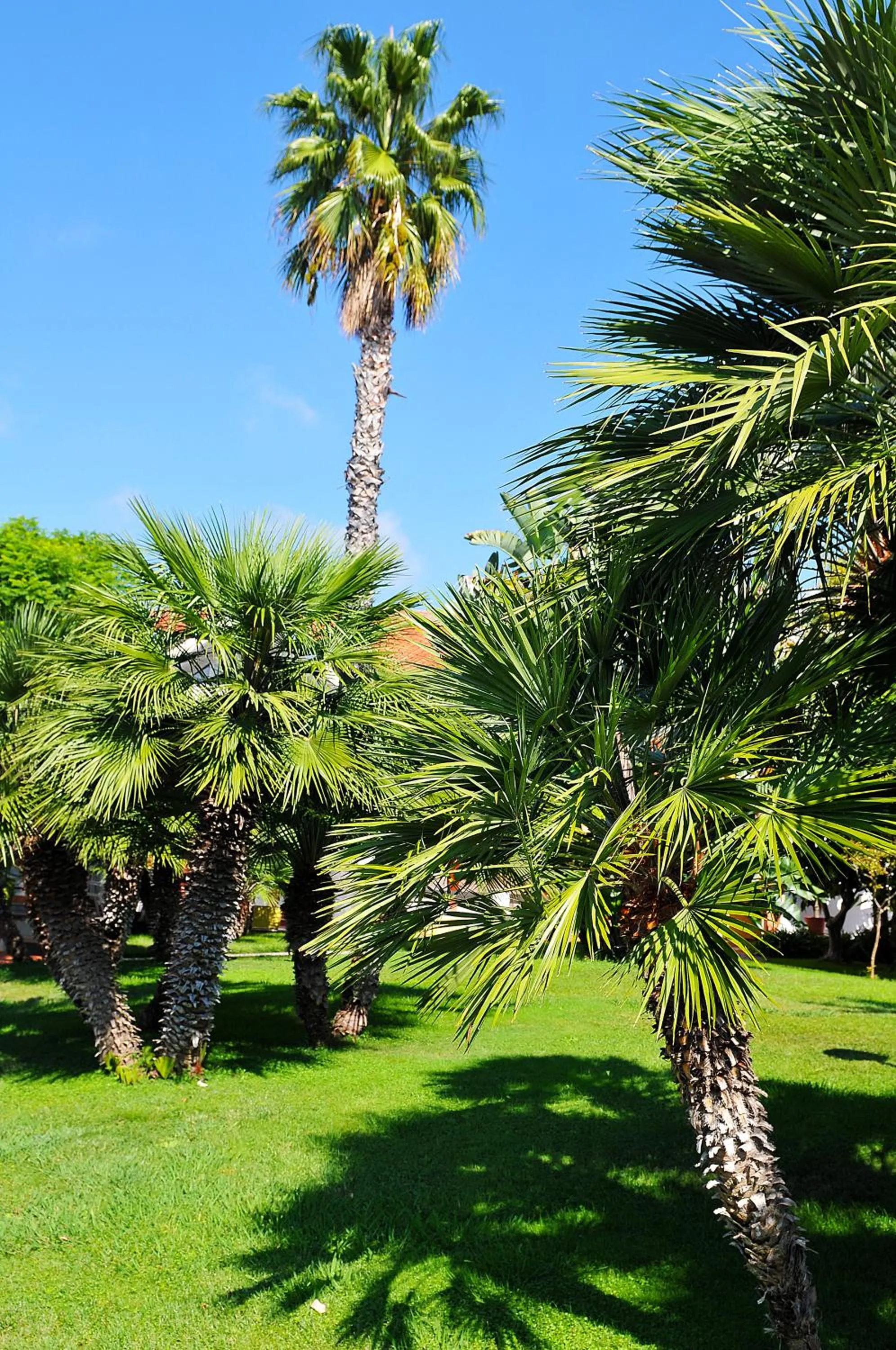 Facade/entrance in Diano Sporting Apartments