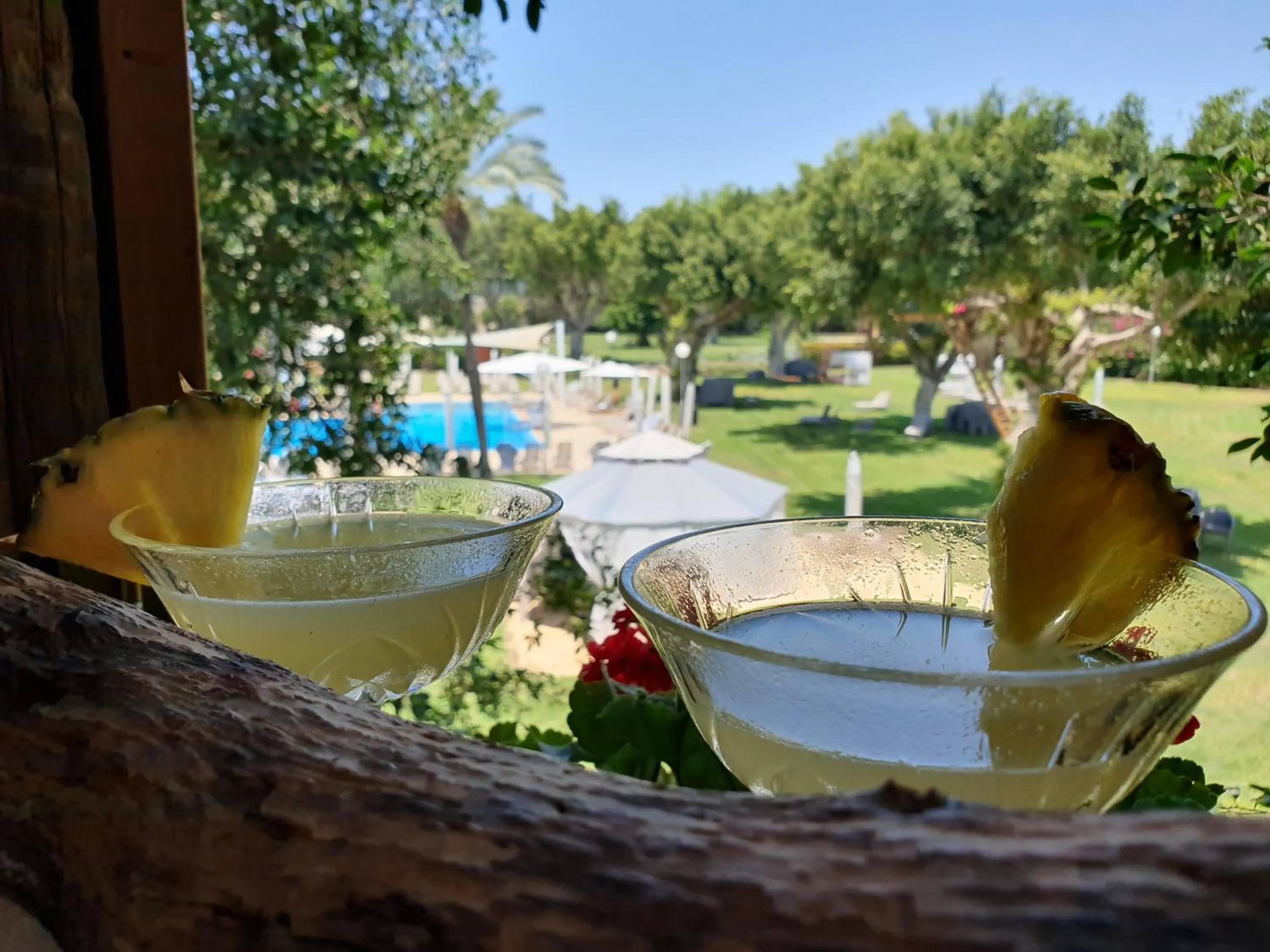 Balcony/Terrace in Dan Caesarea Resort