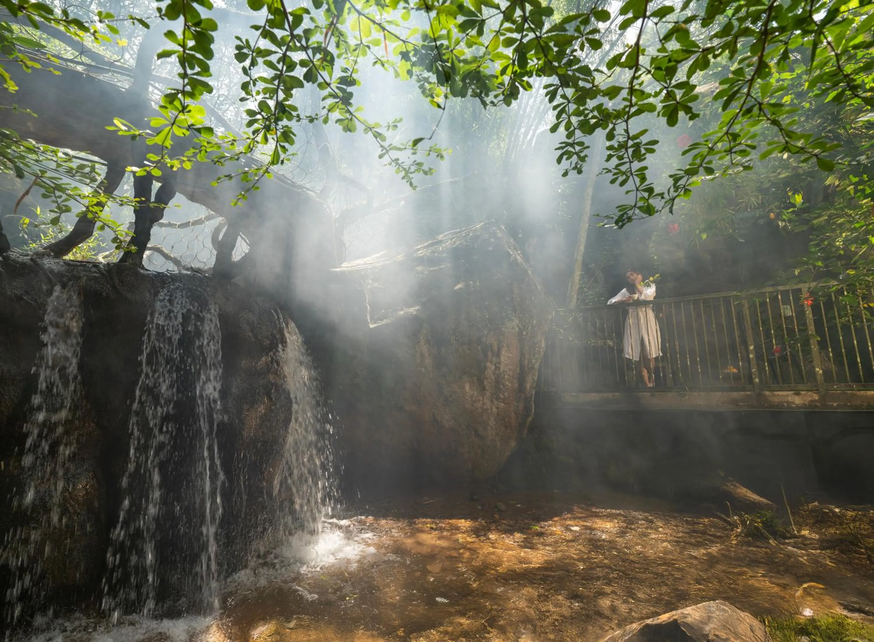 Natural landscape in Parakkat Nature Resort
