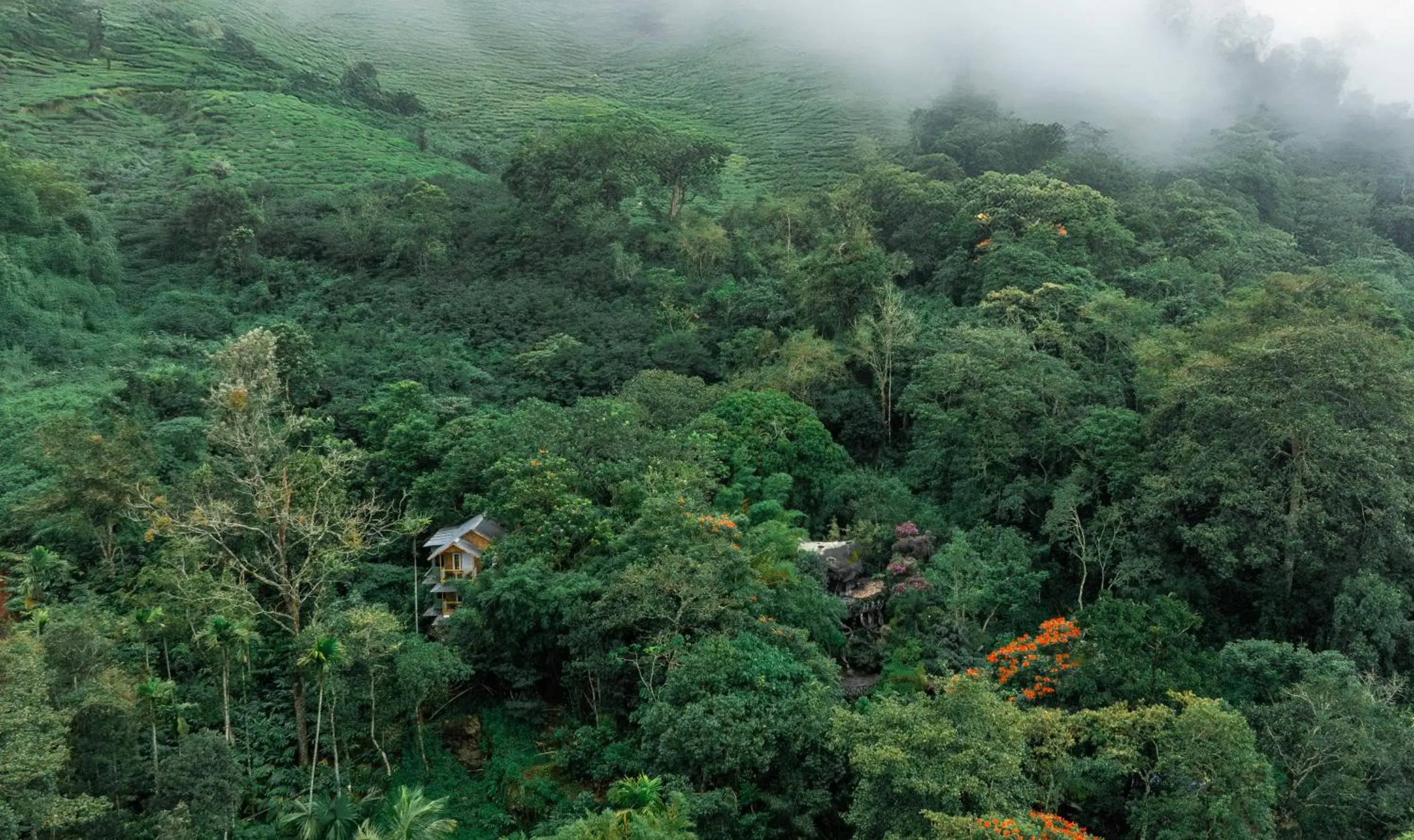 Bird's eye view in Parakkat Nature Resort Bird's eye view in Parakkat Nature Resort