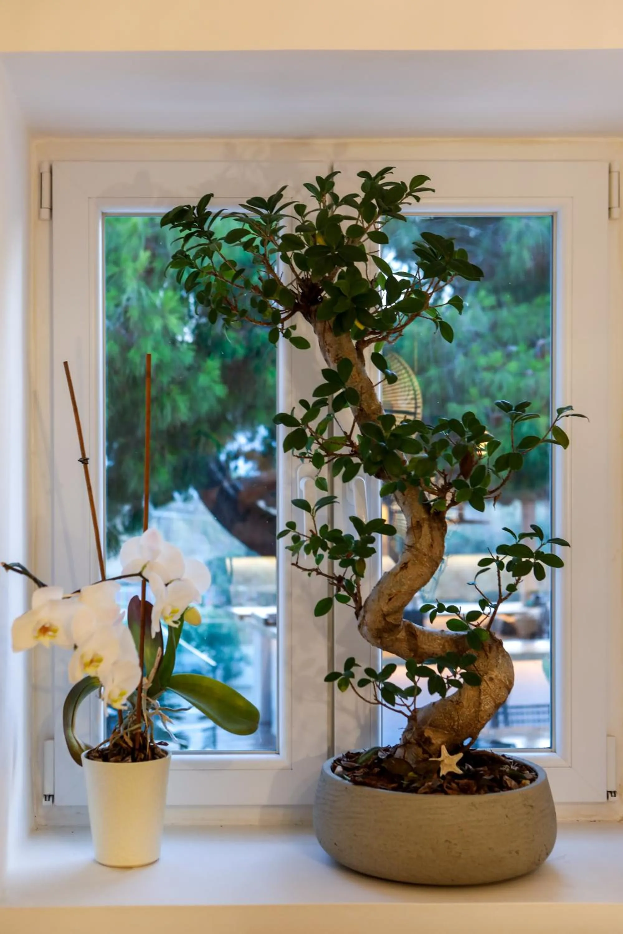 Decorative detail in Casa Grande Hotel