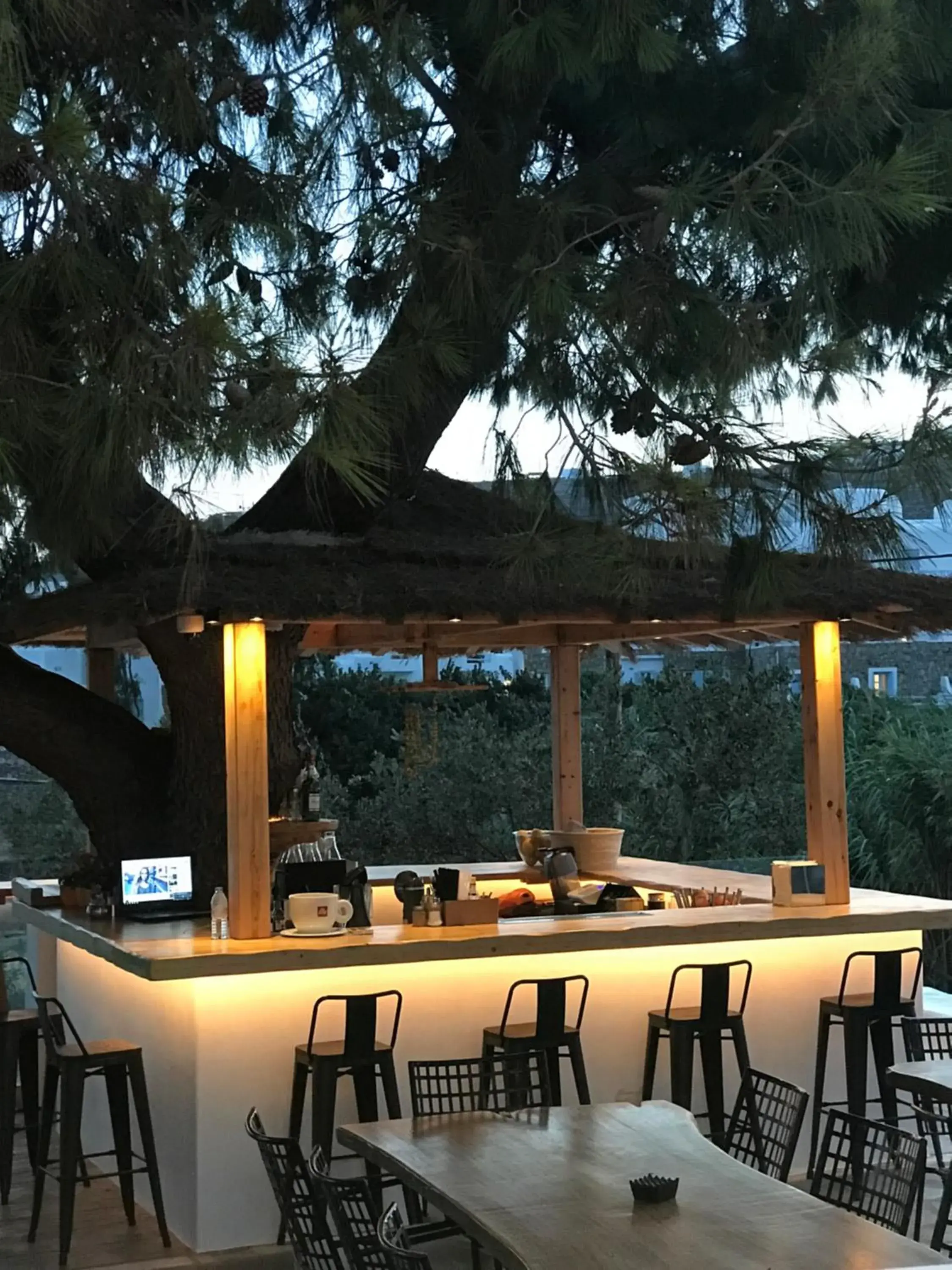 Lounge or bar in Casa Grande Hotel Lounge or bar in Casa Grande Hotel