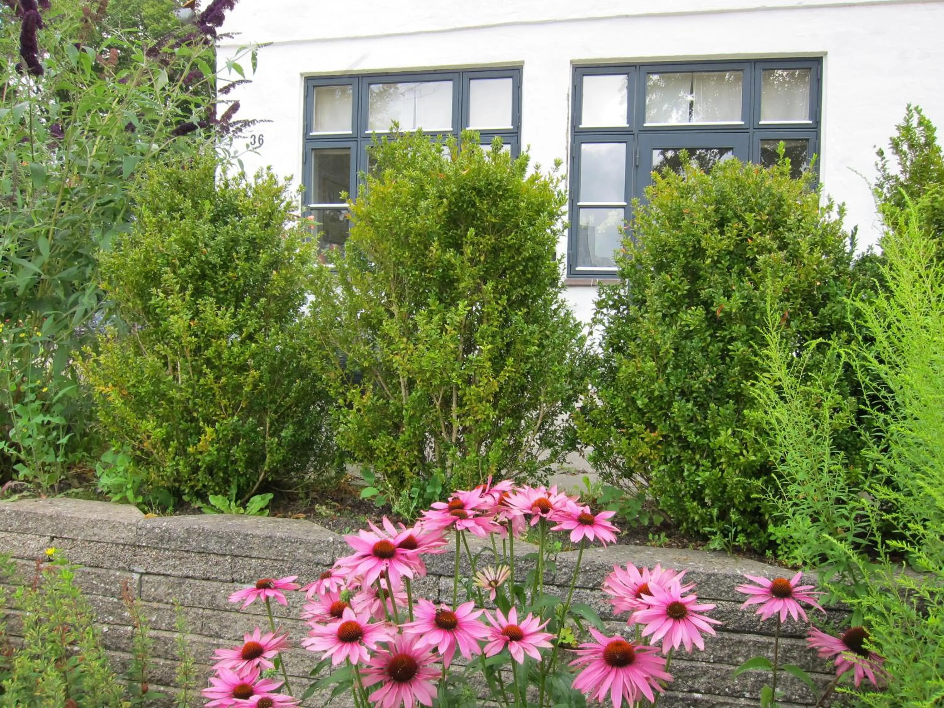 Spring in Provstegården Bed & Breakfast