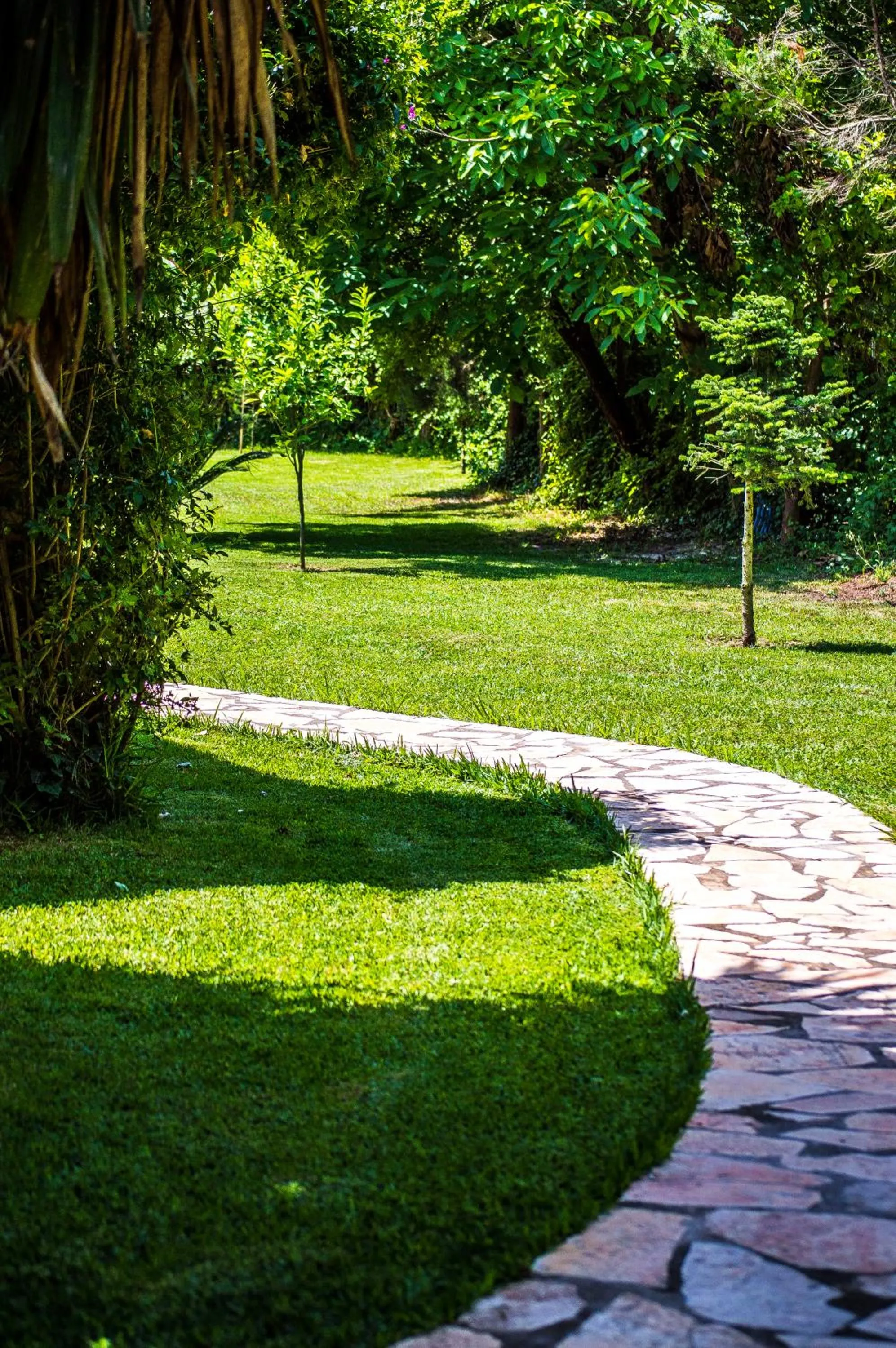 Natural landscape in Folies Corfu Town Hotel Apartments