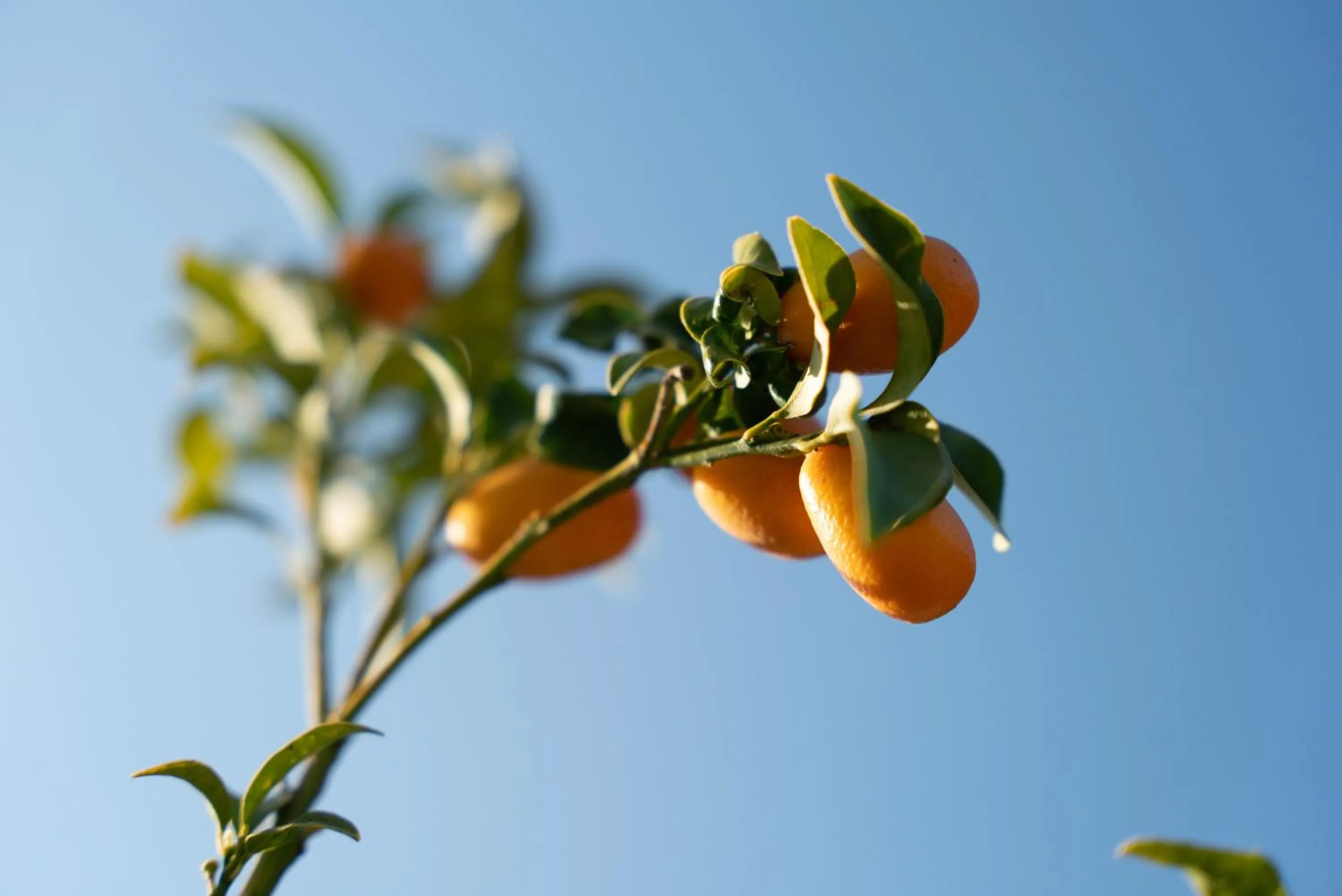 Day in Folies Corfu Town Hotel Apartments