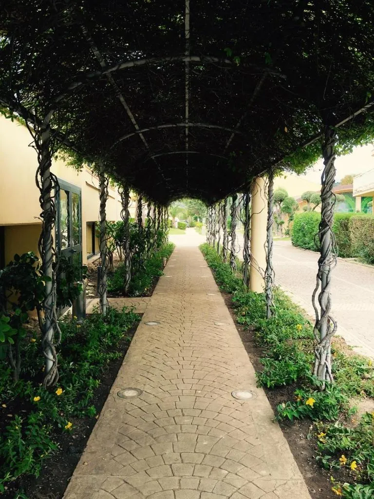 Garden in Hotel La Principessa