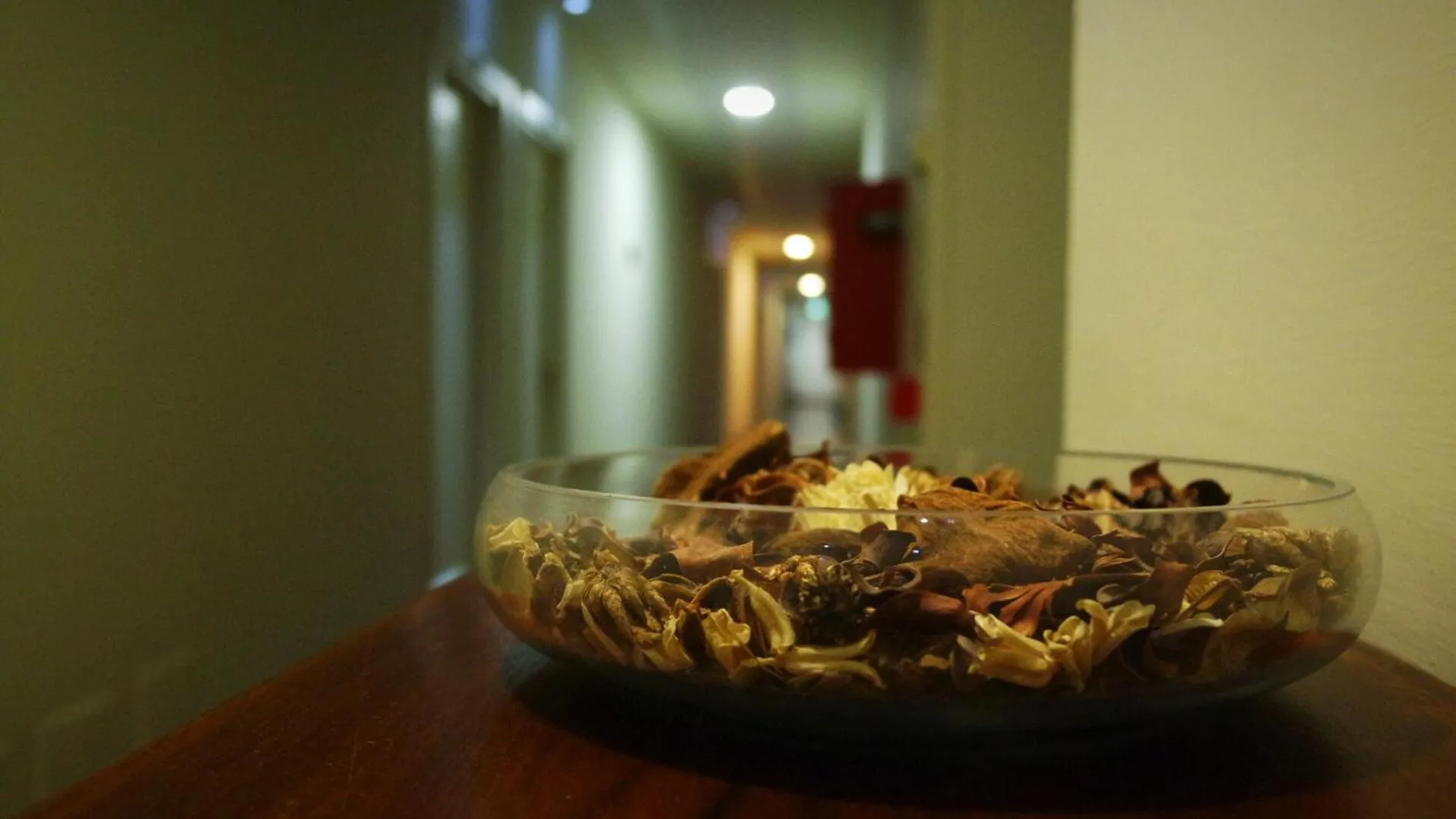 Area and facilities in Albergo Della Roccia