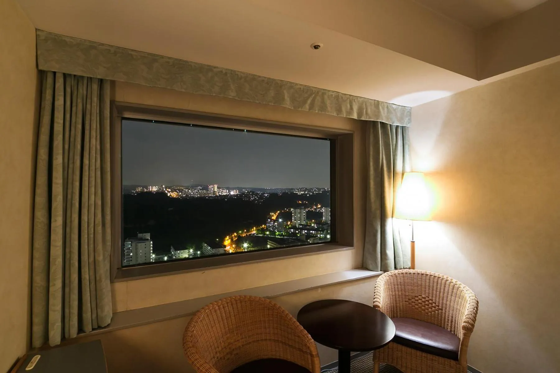 Mountain view in Yokohama Techno Tower Hotel