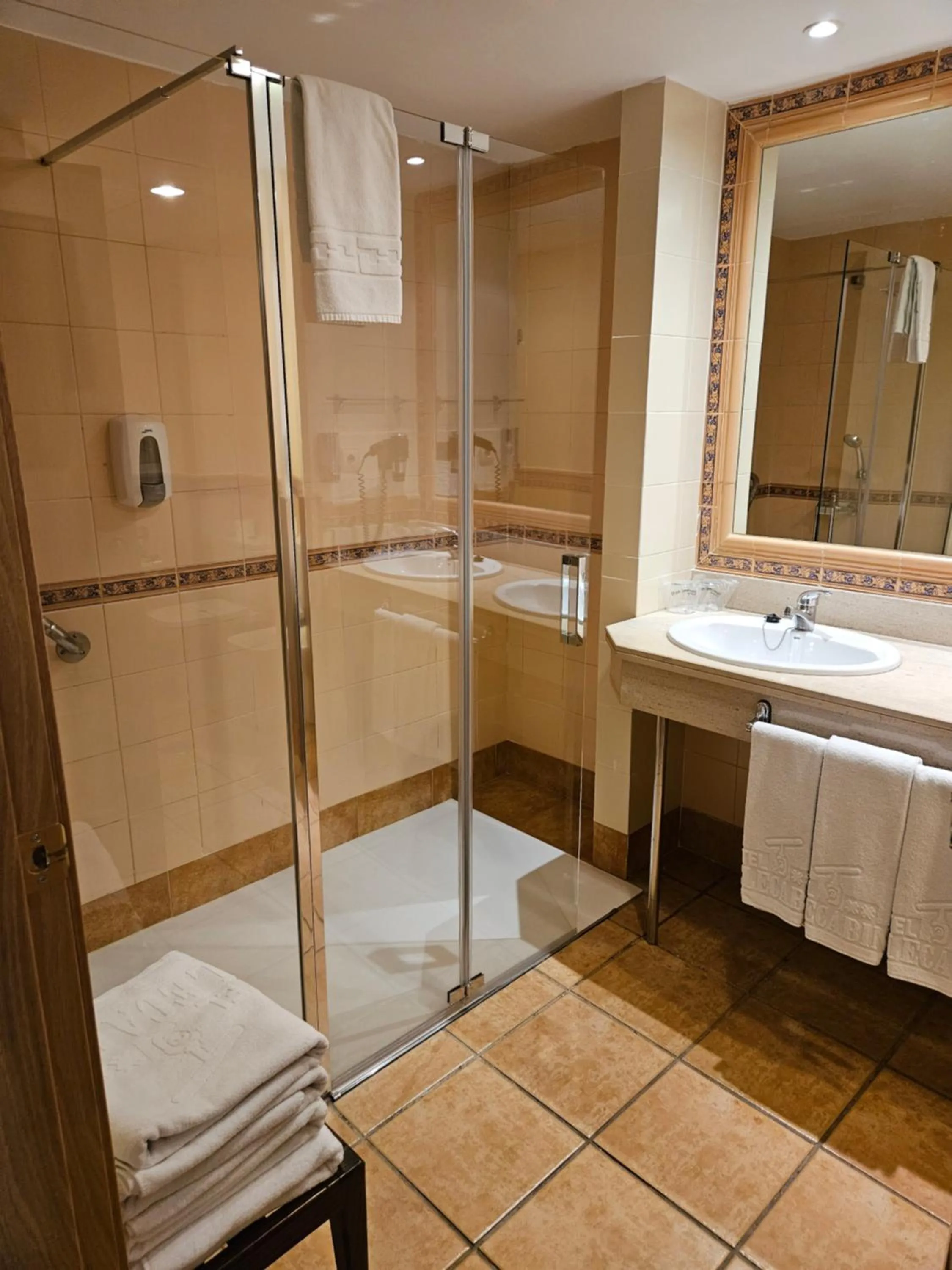 Shower in Hotel Telecabina