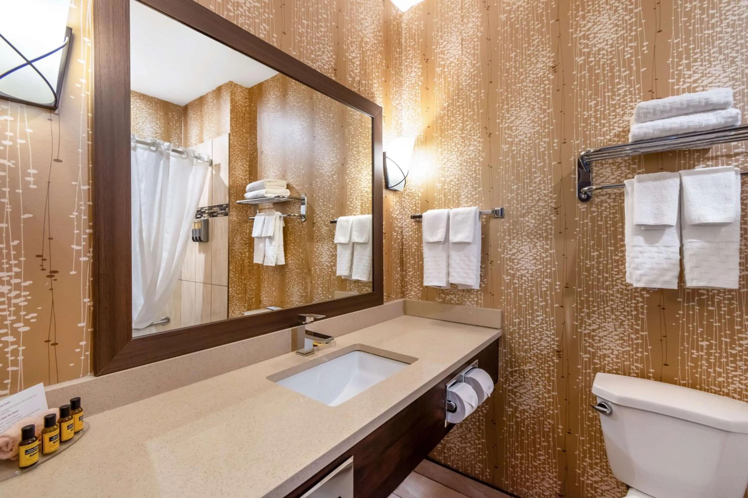 Bathroom in Best Western Plus Kindersley Hotel