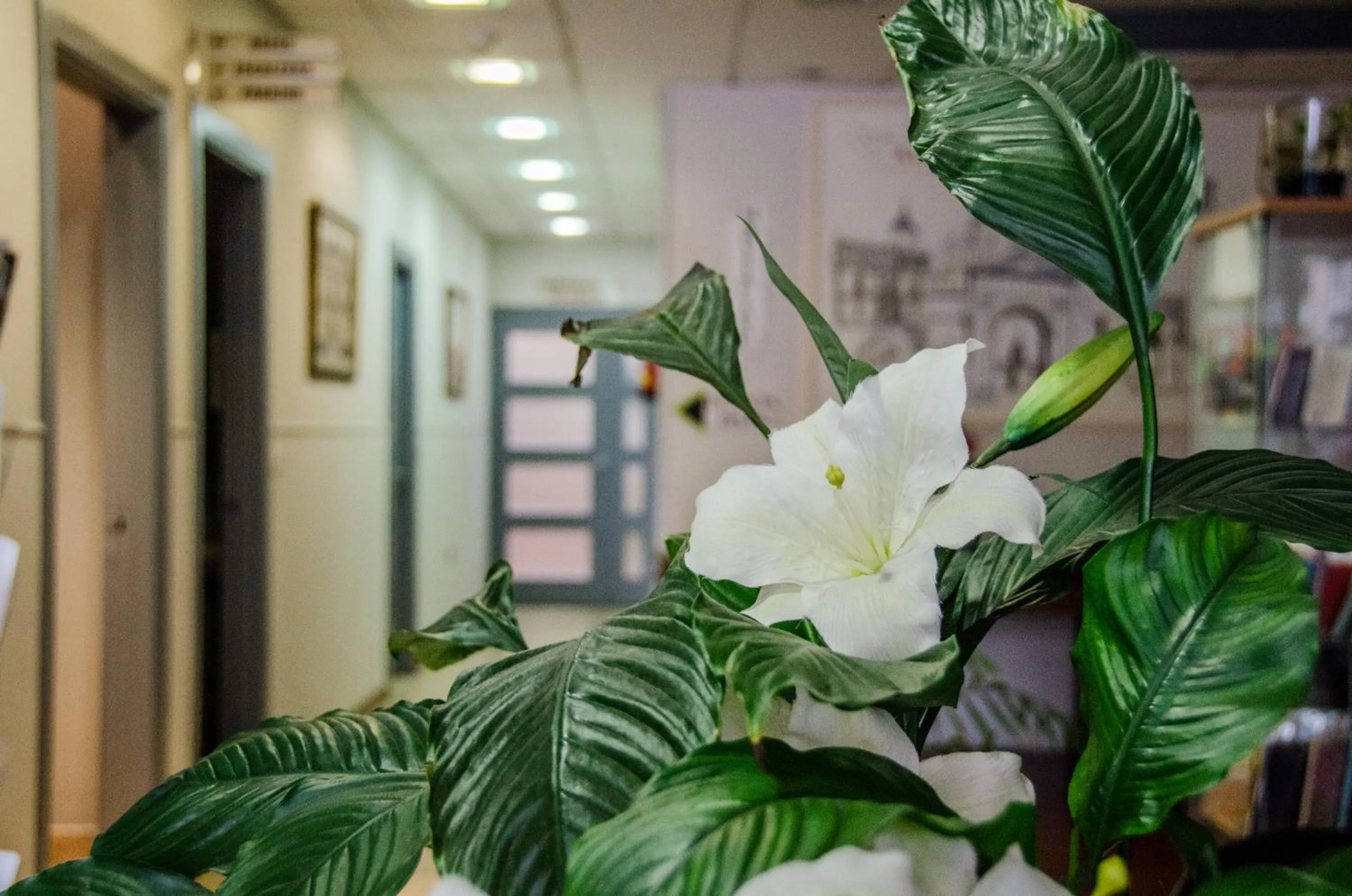 Lobby or reception in Ciudad de Alcala