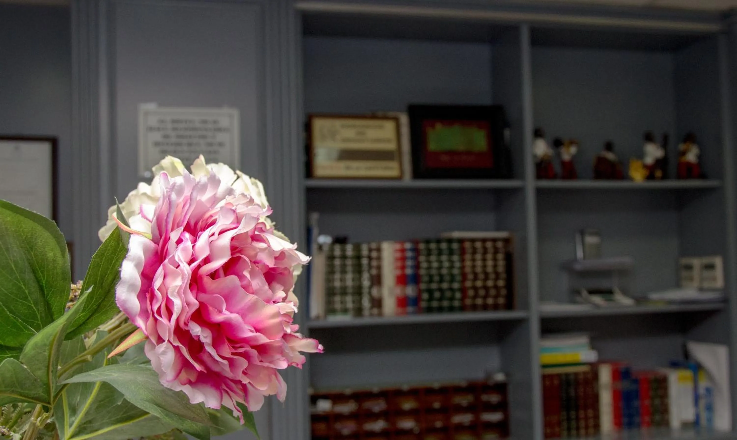 Lobby or reception in Ciudad de Alcala