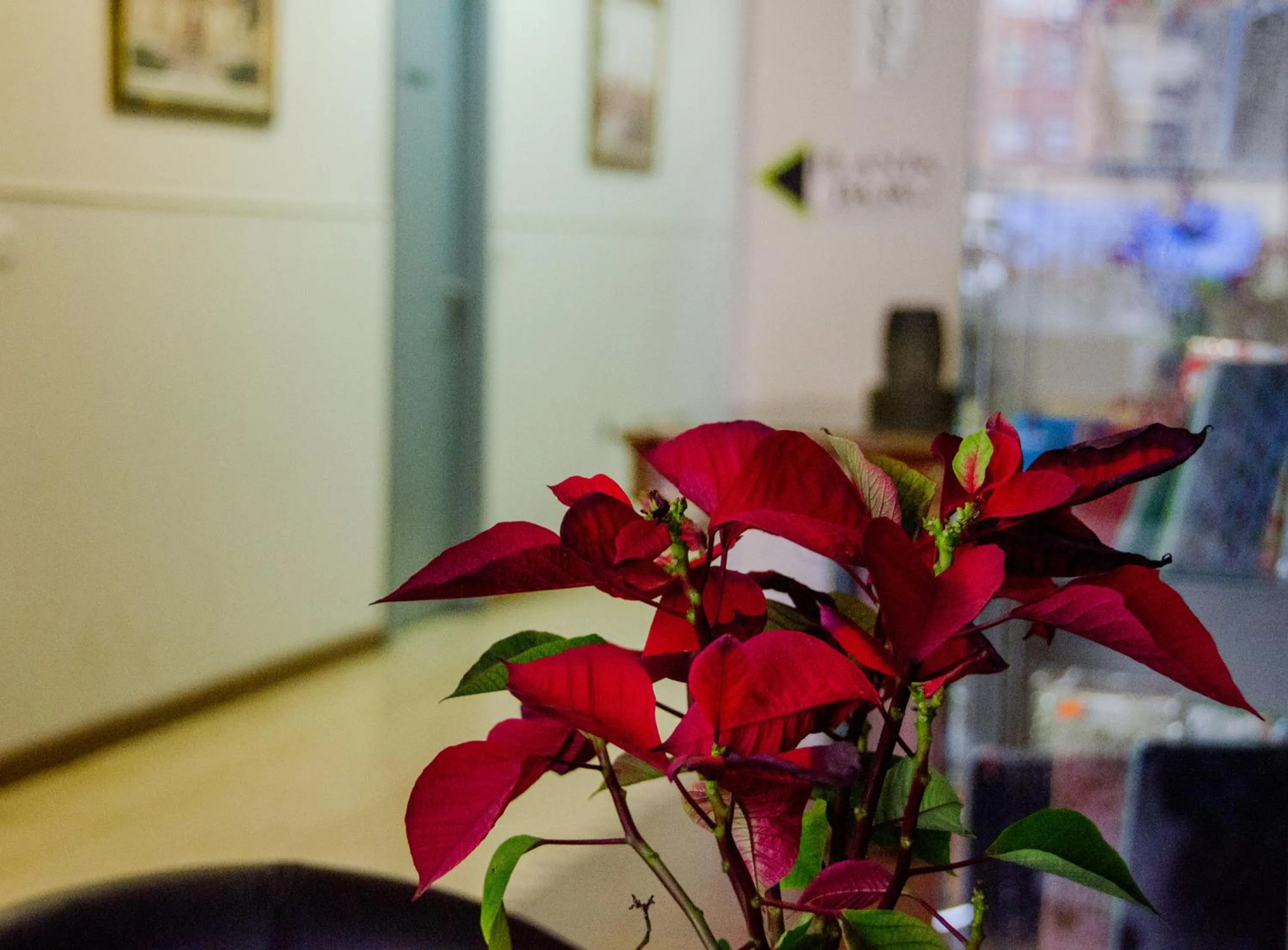 Lobby or reception in Ciudad de Alcala