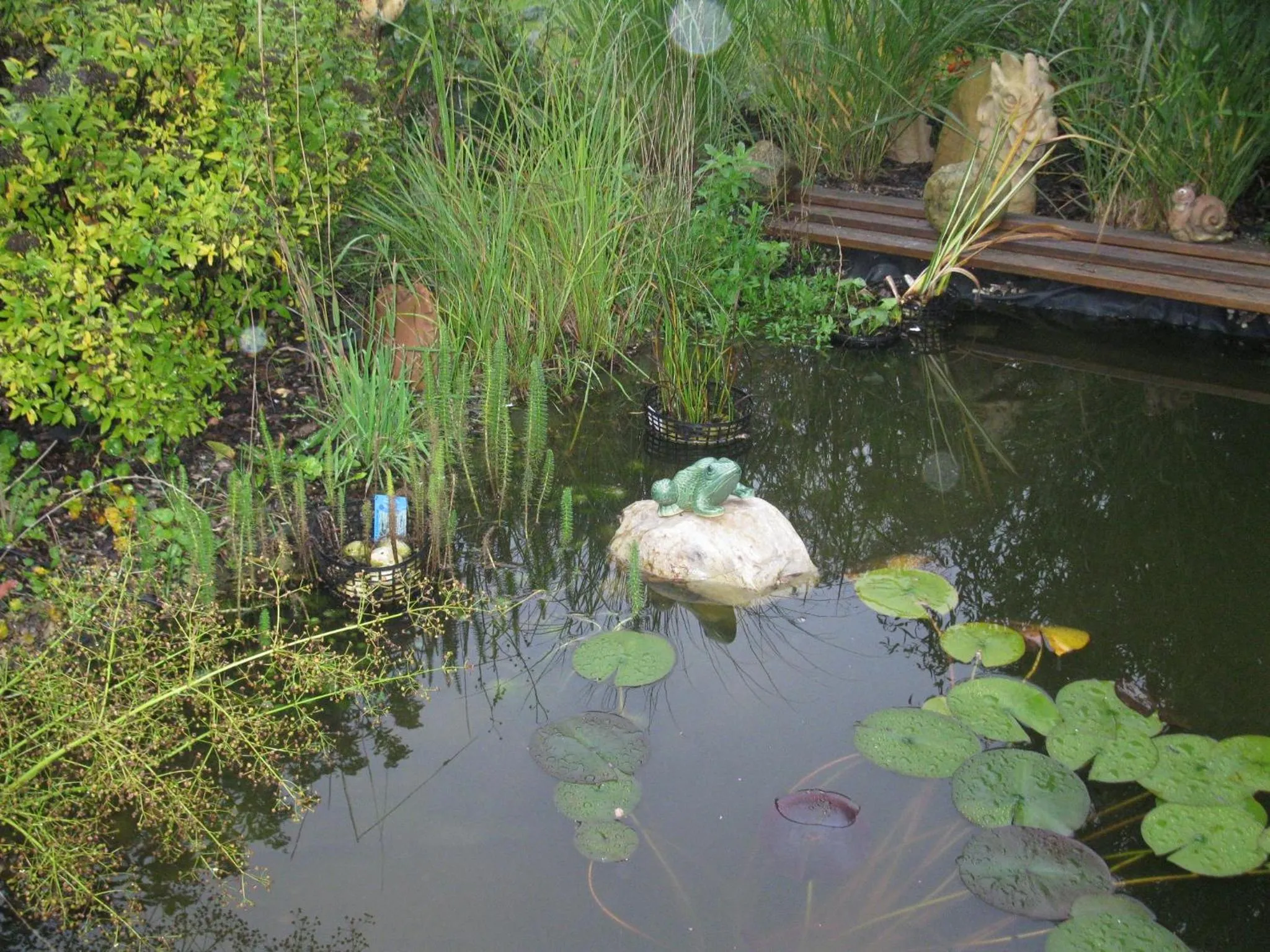 Garden view in Garni Hotel & Appartements Nordstrand