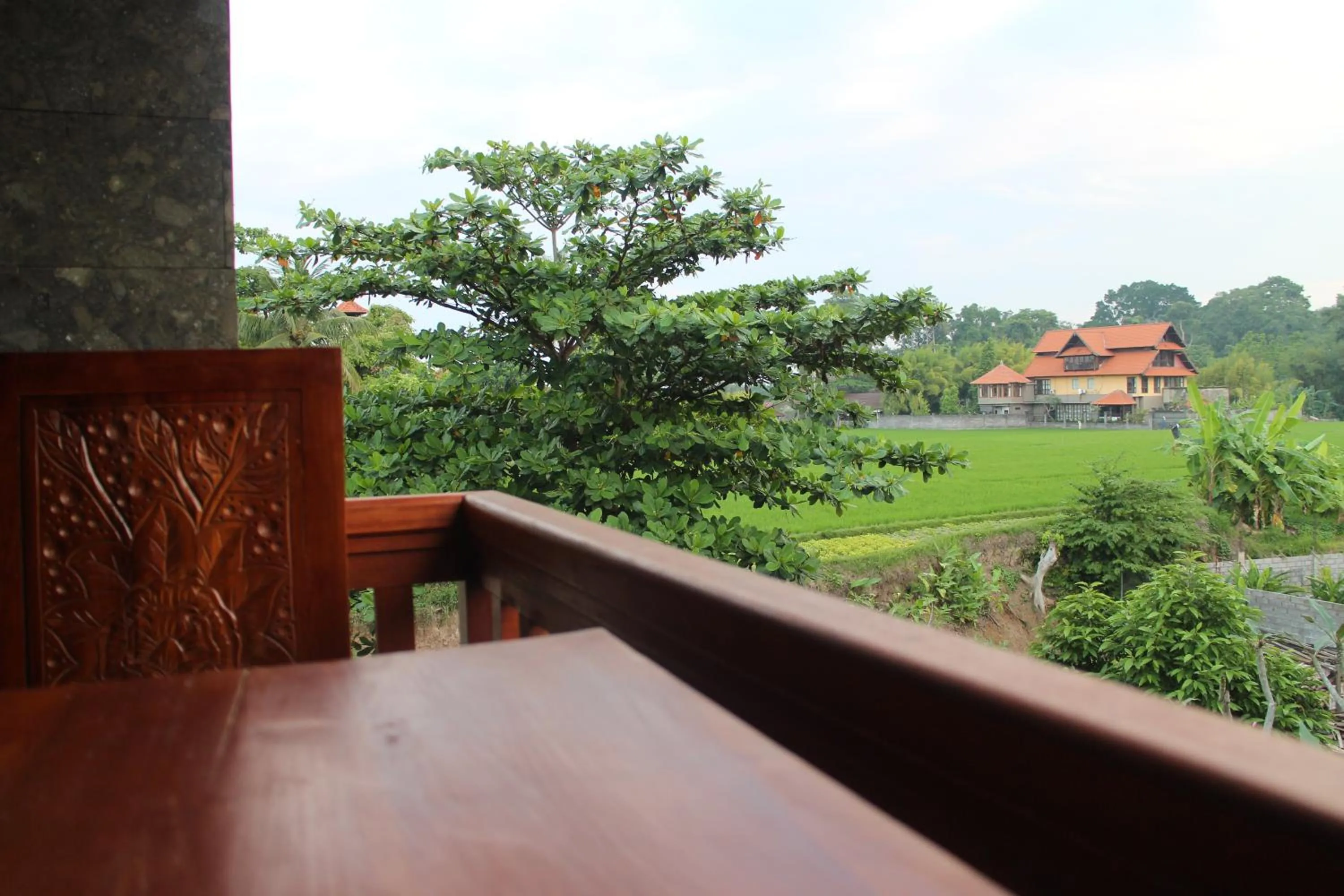 View (from property/room) in Betutu Bali Villas