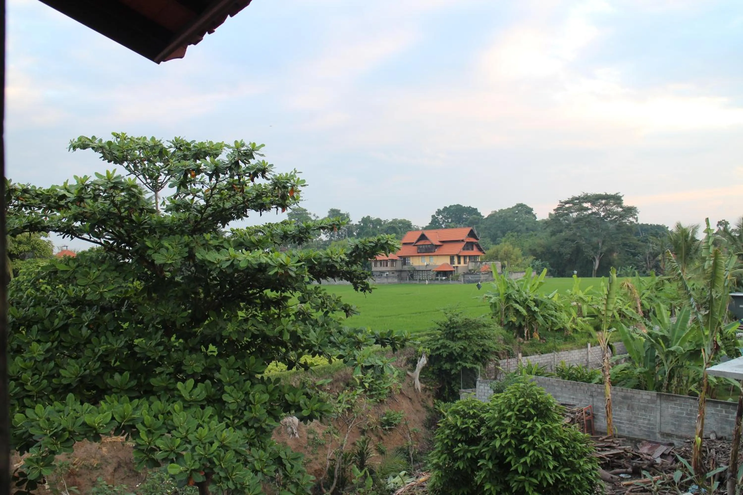 View (from property/room) in Betutu Bali Villas