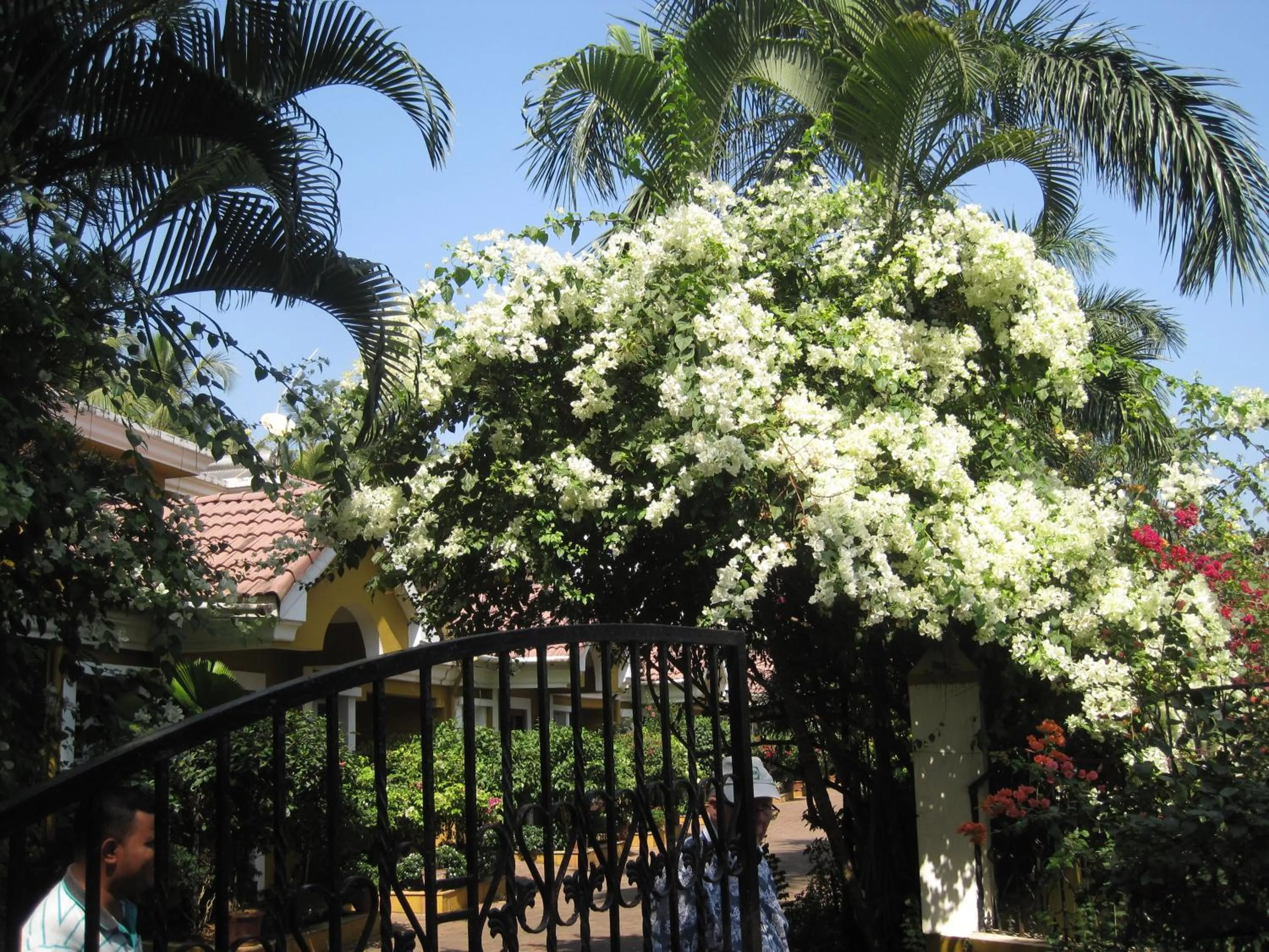 Garden in Boutique Villa, beach 10min, cook on request