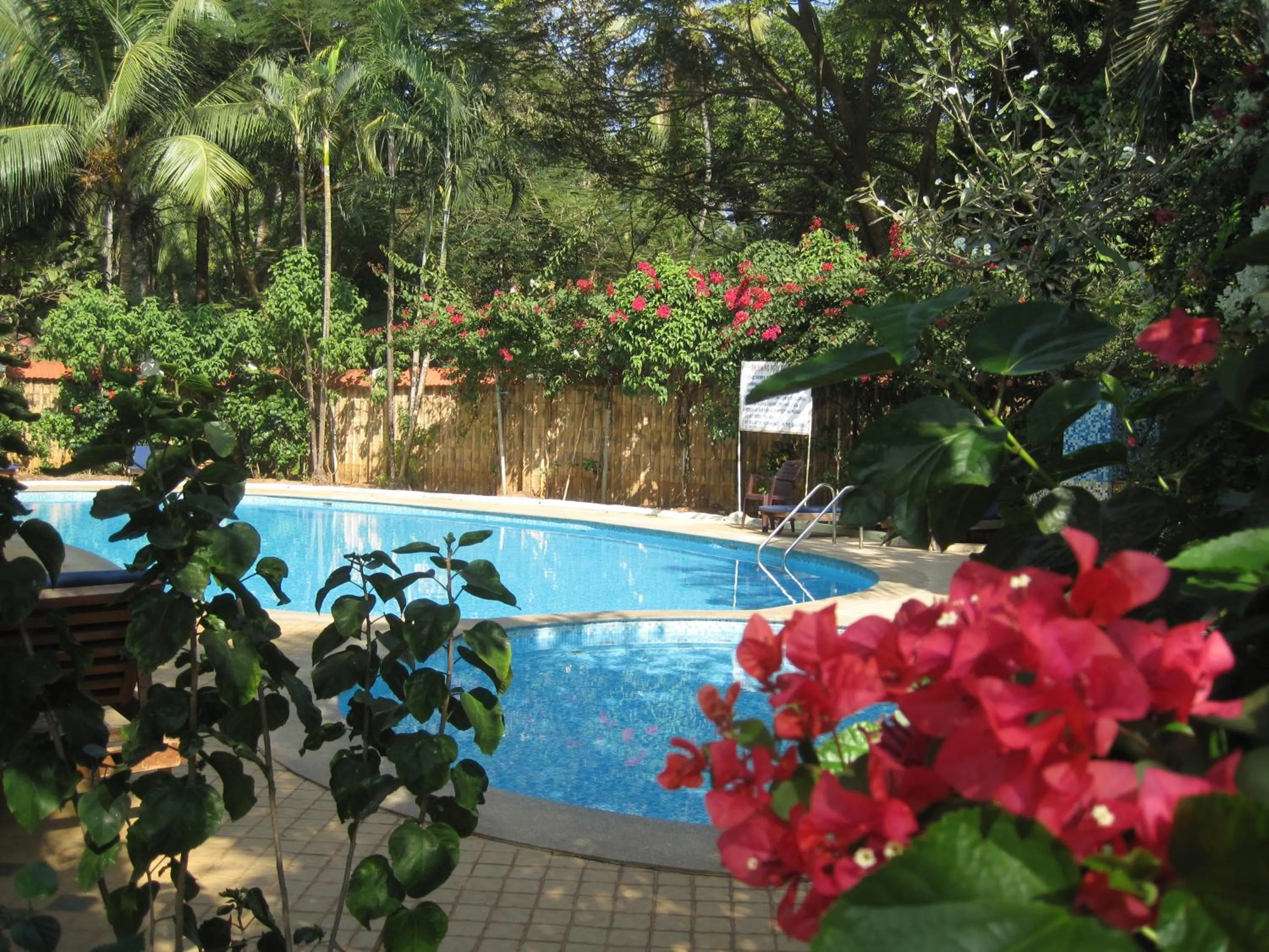 Swimming pool in Boutique Villa, beach 10min, cook on request